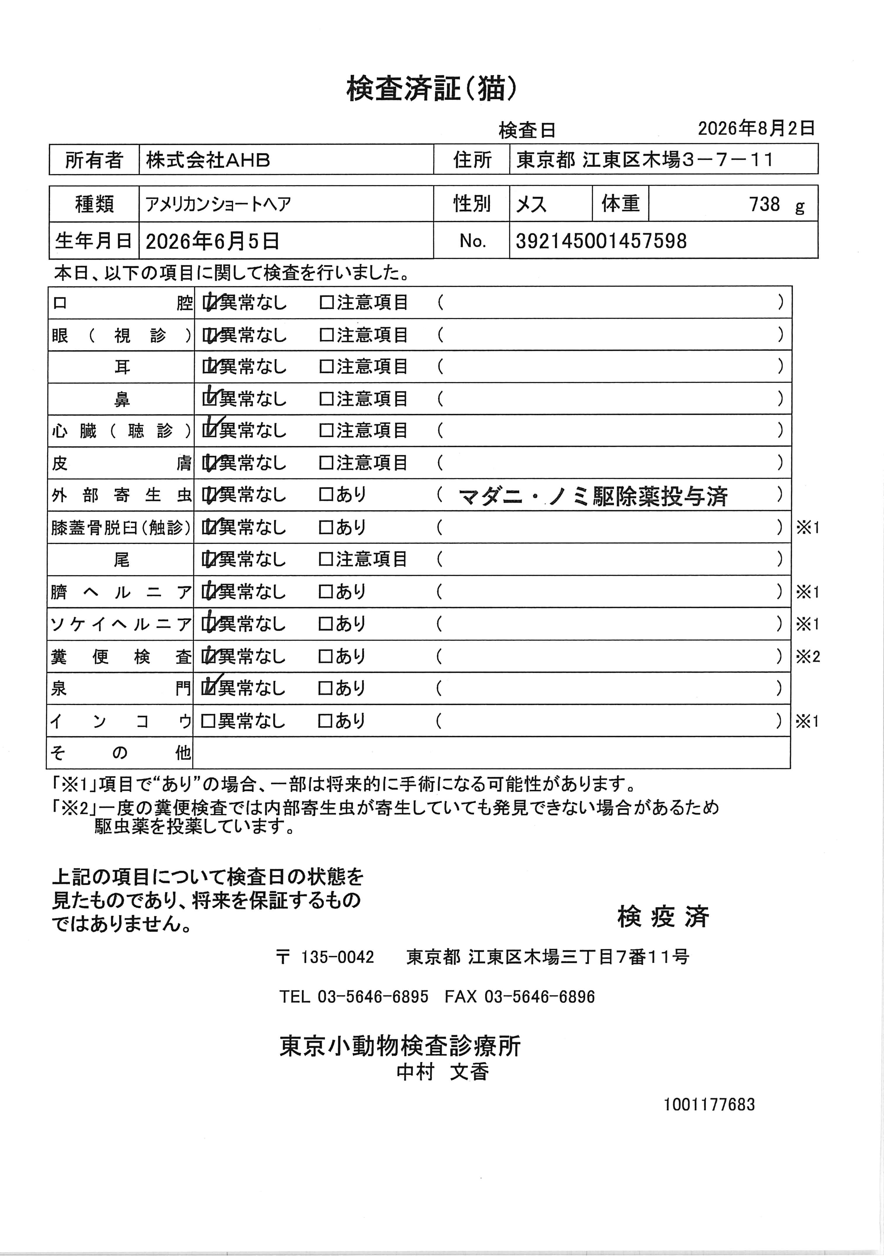 アメリカンショートヘア