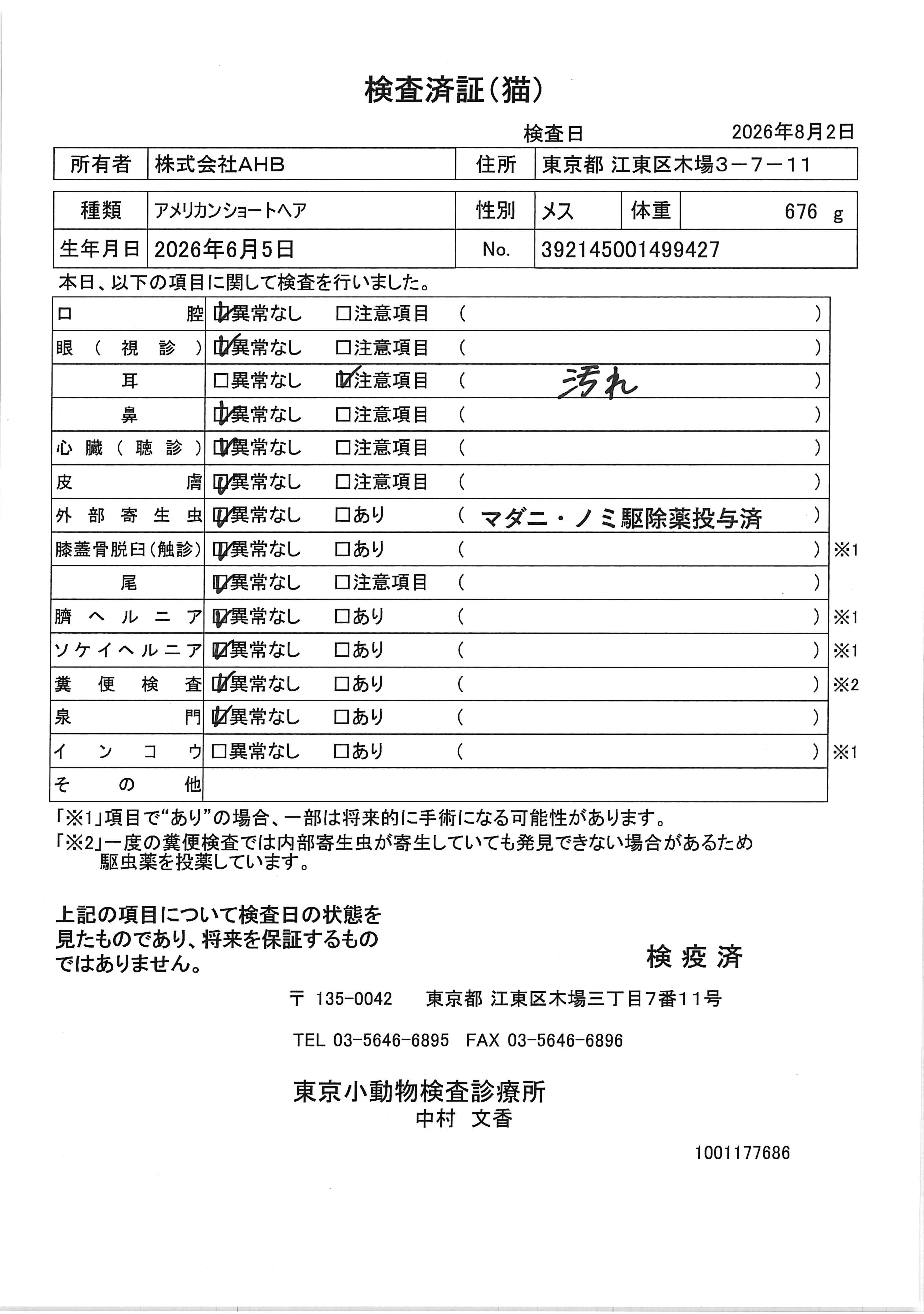 アメリカンショートヘア