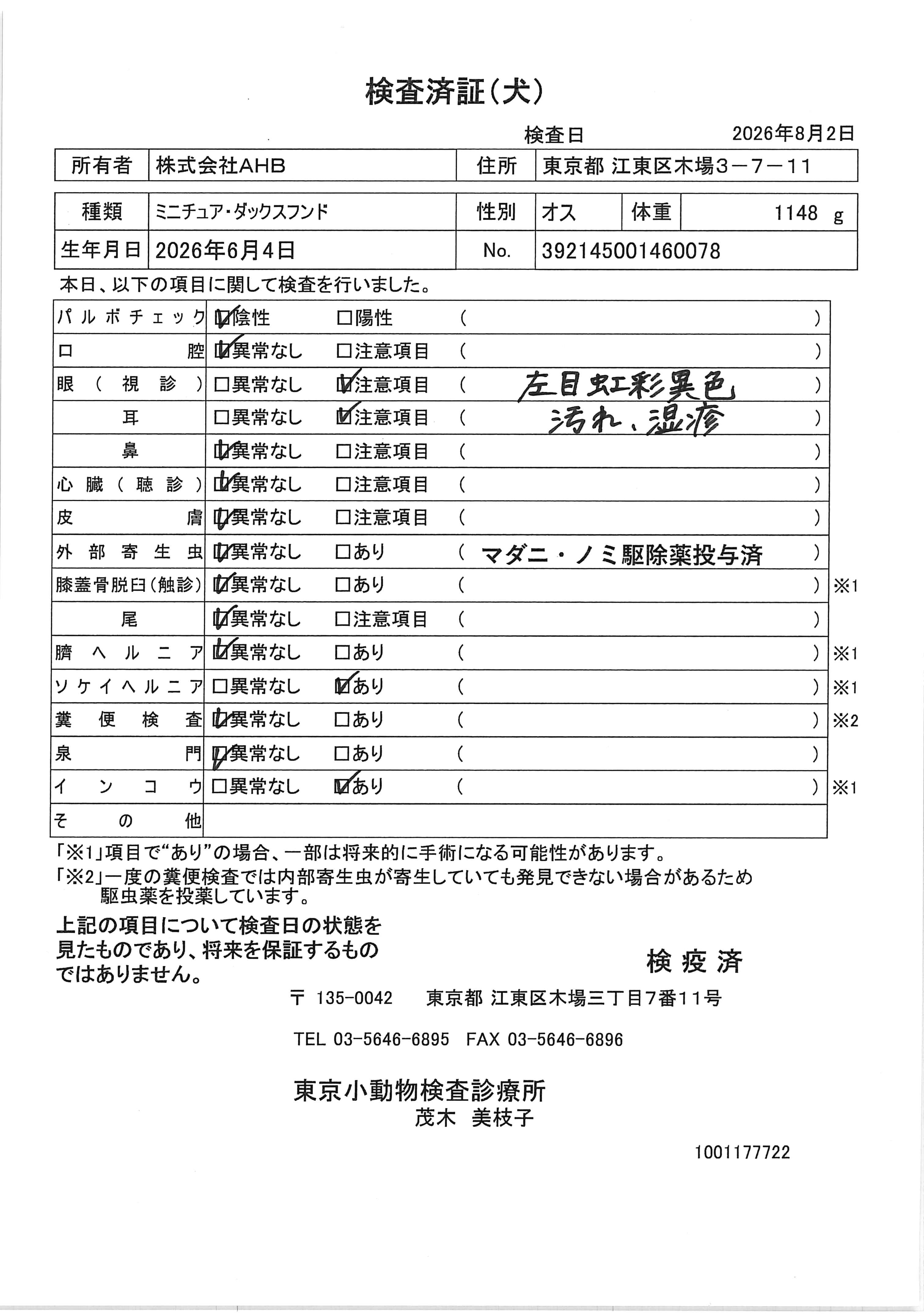 ミニチュア・ダックスフンド
