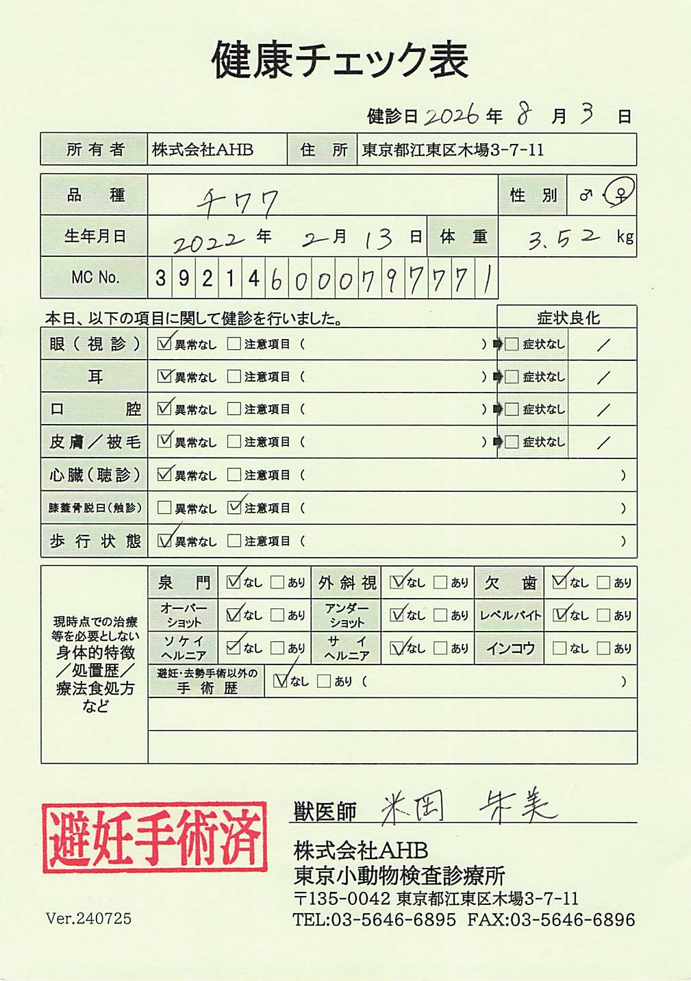 チワワ