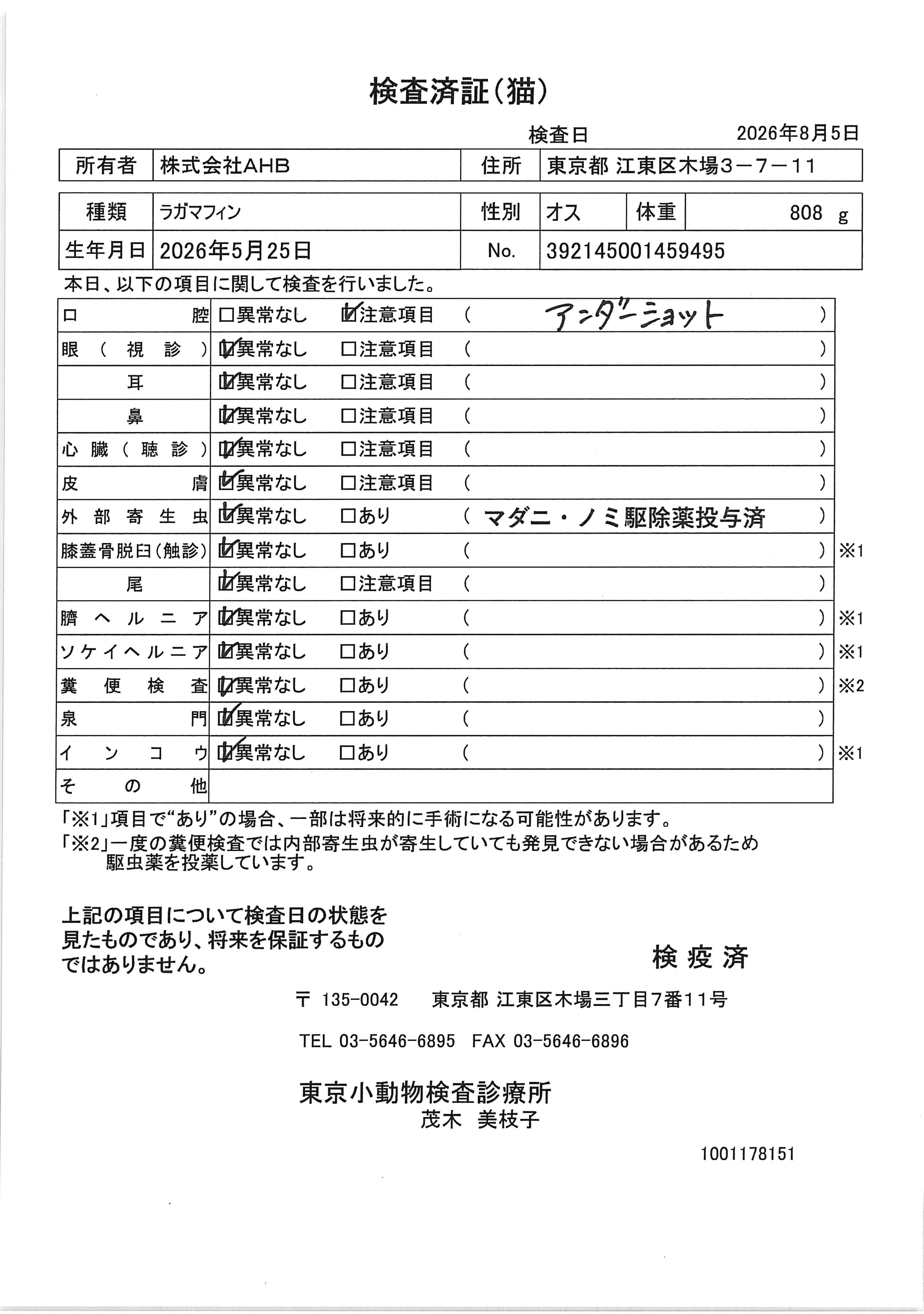ラガマフィン