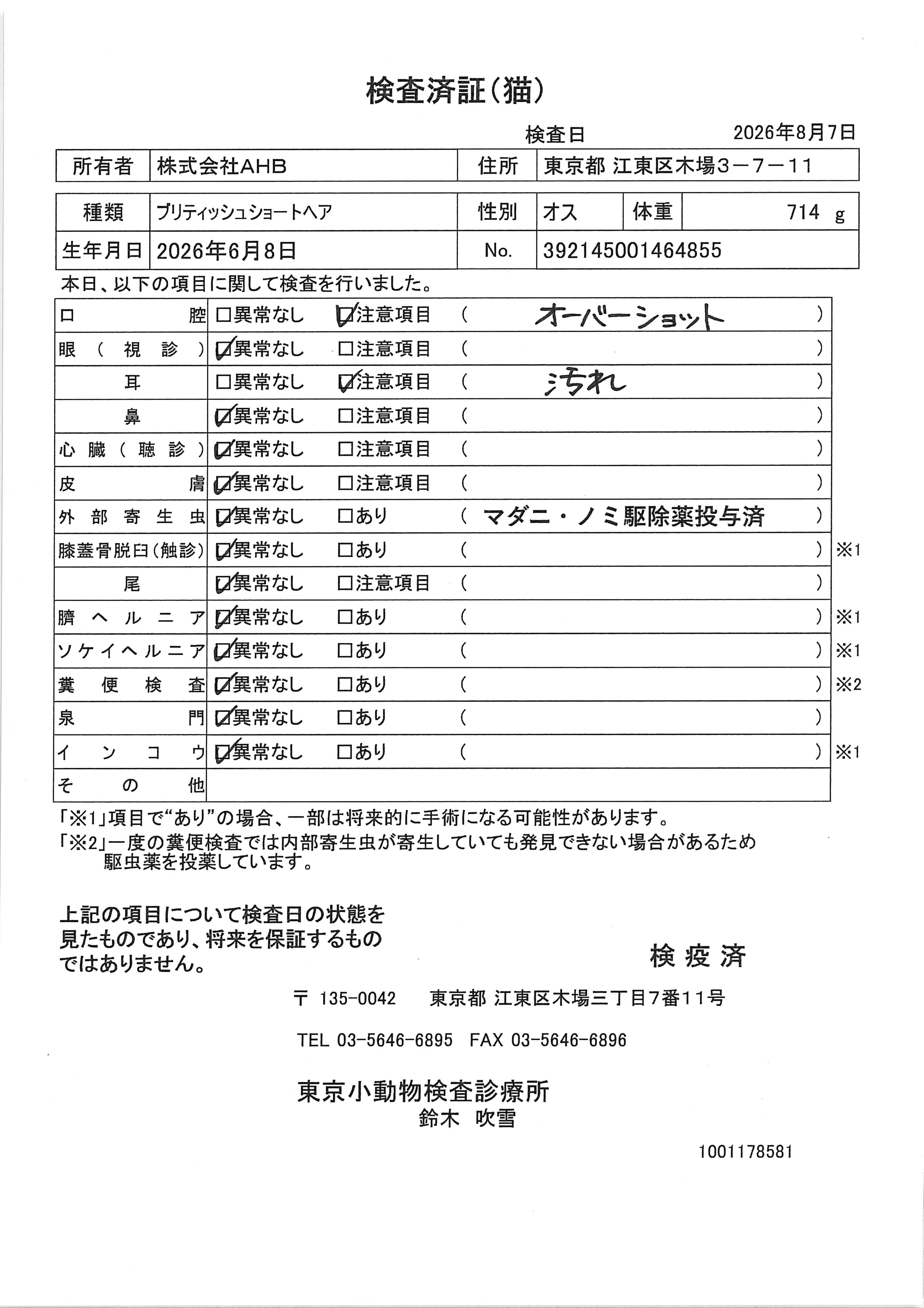 ブリティッシュショートヘア