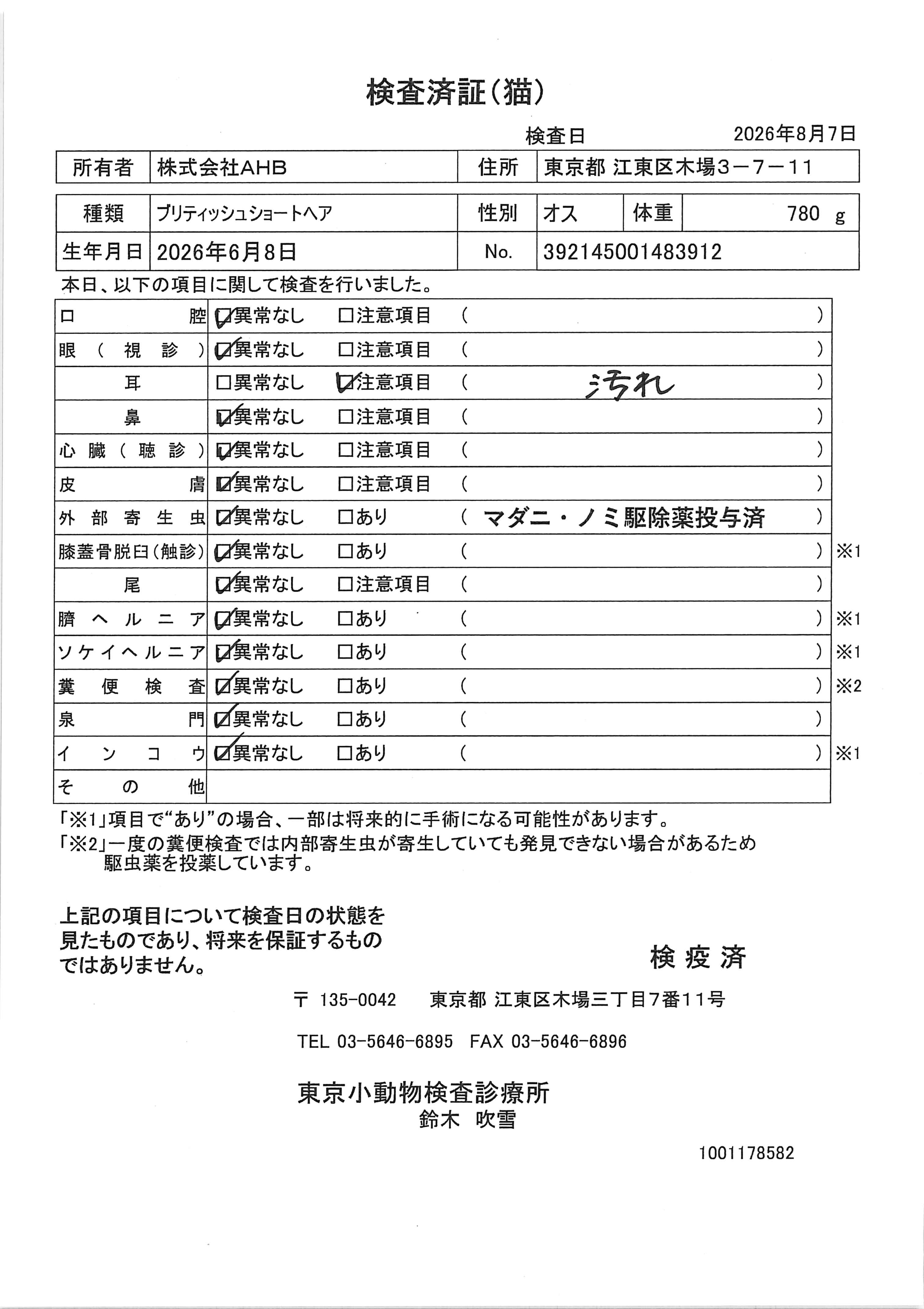 ブリティッシュショートヘア