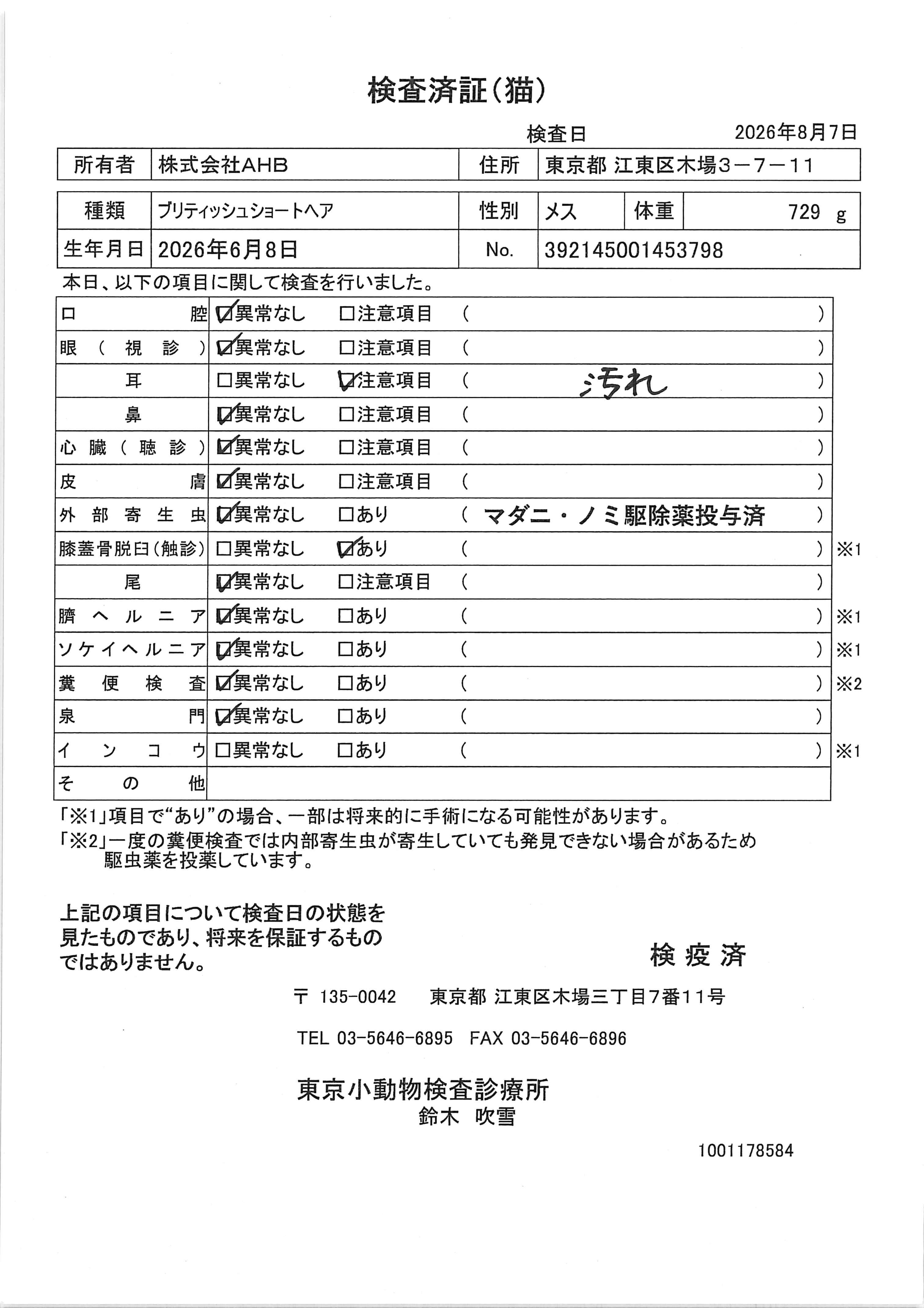 ブリティッシュショートヘア