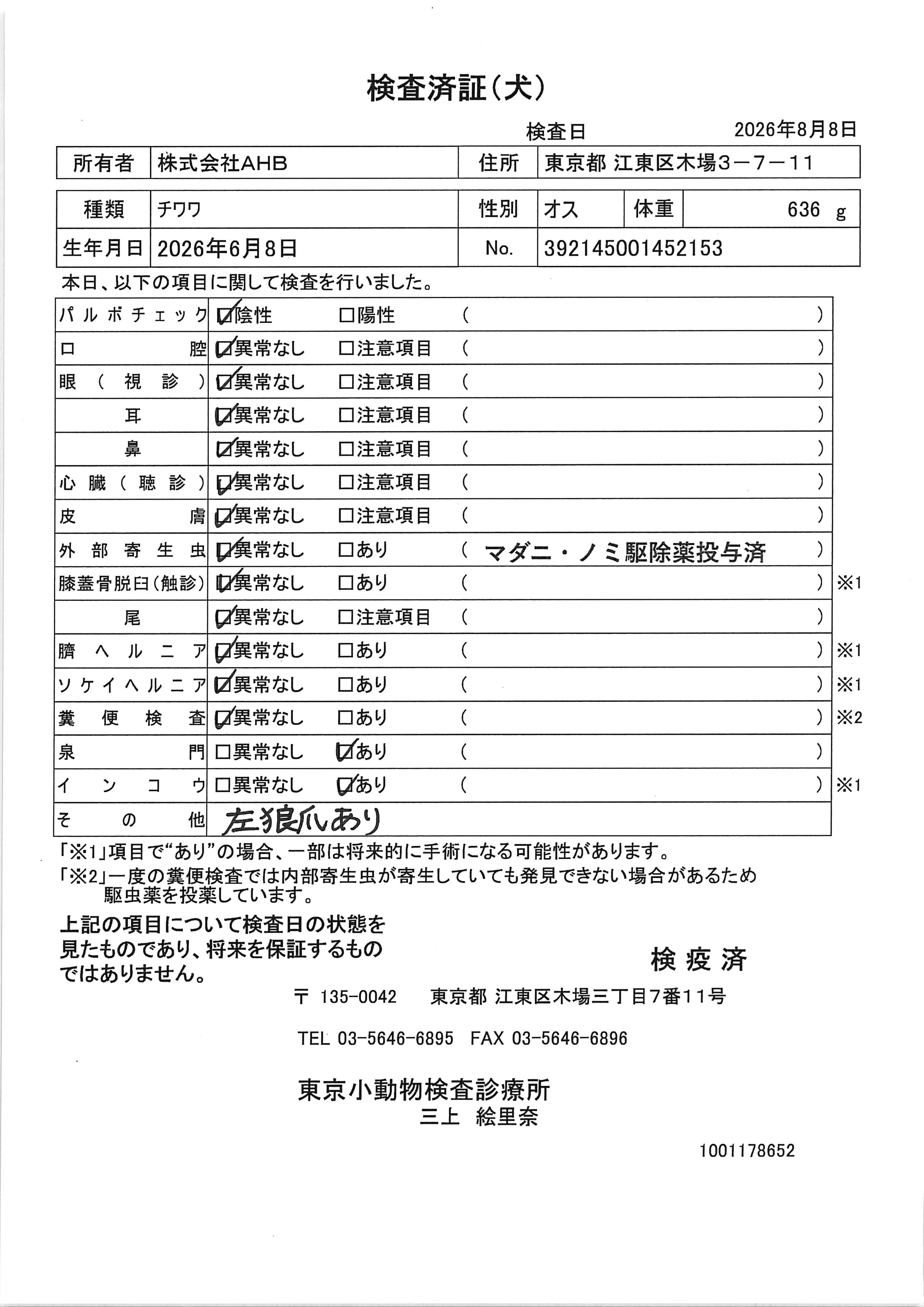 チワワ