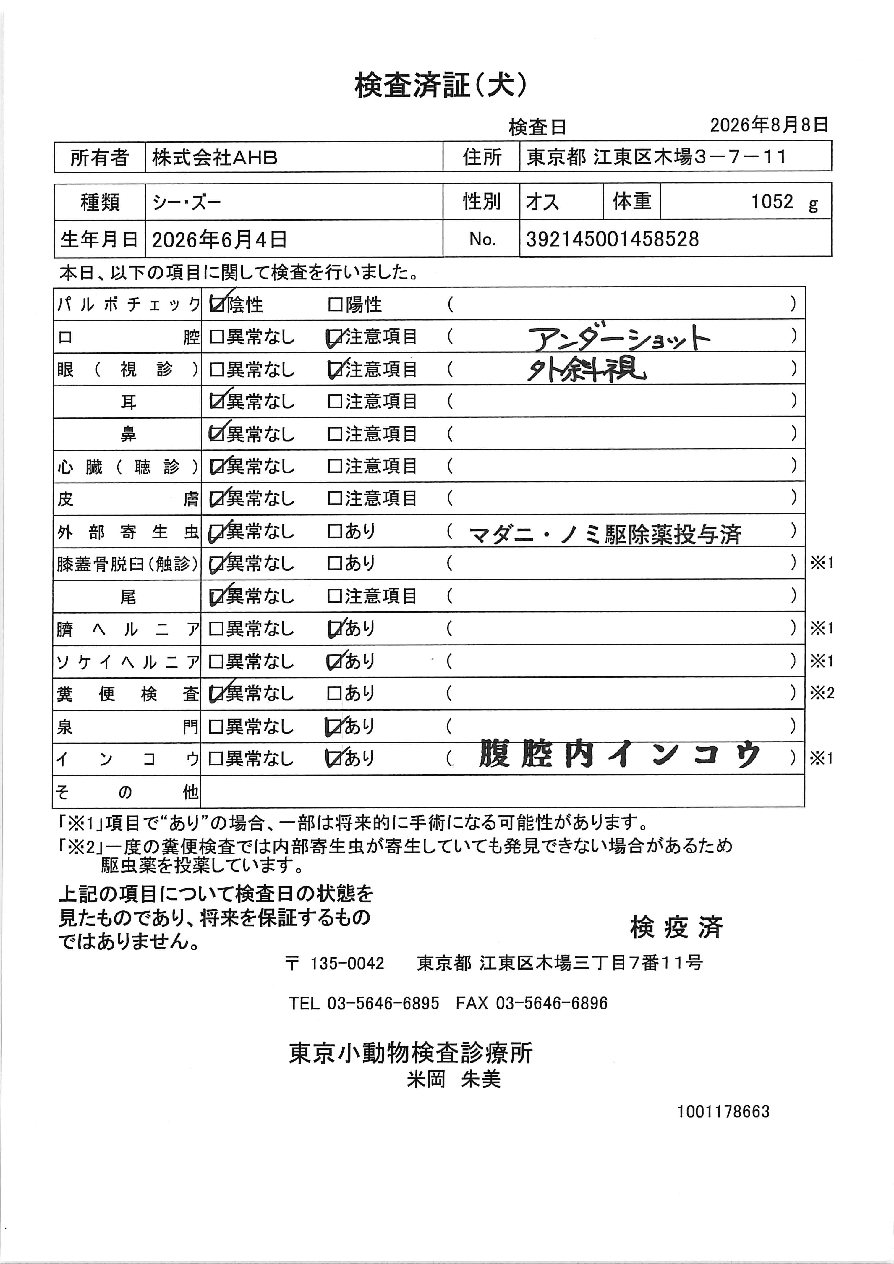 シー・ズー