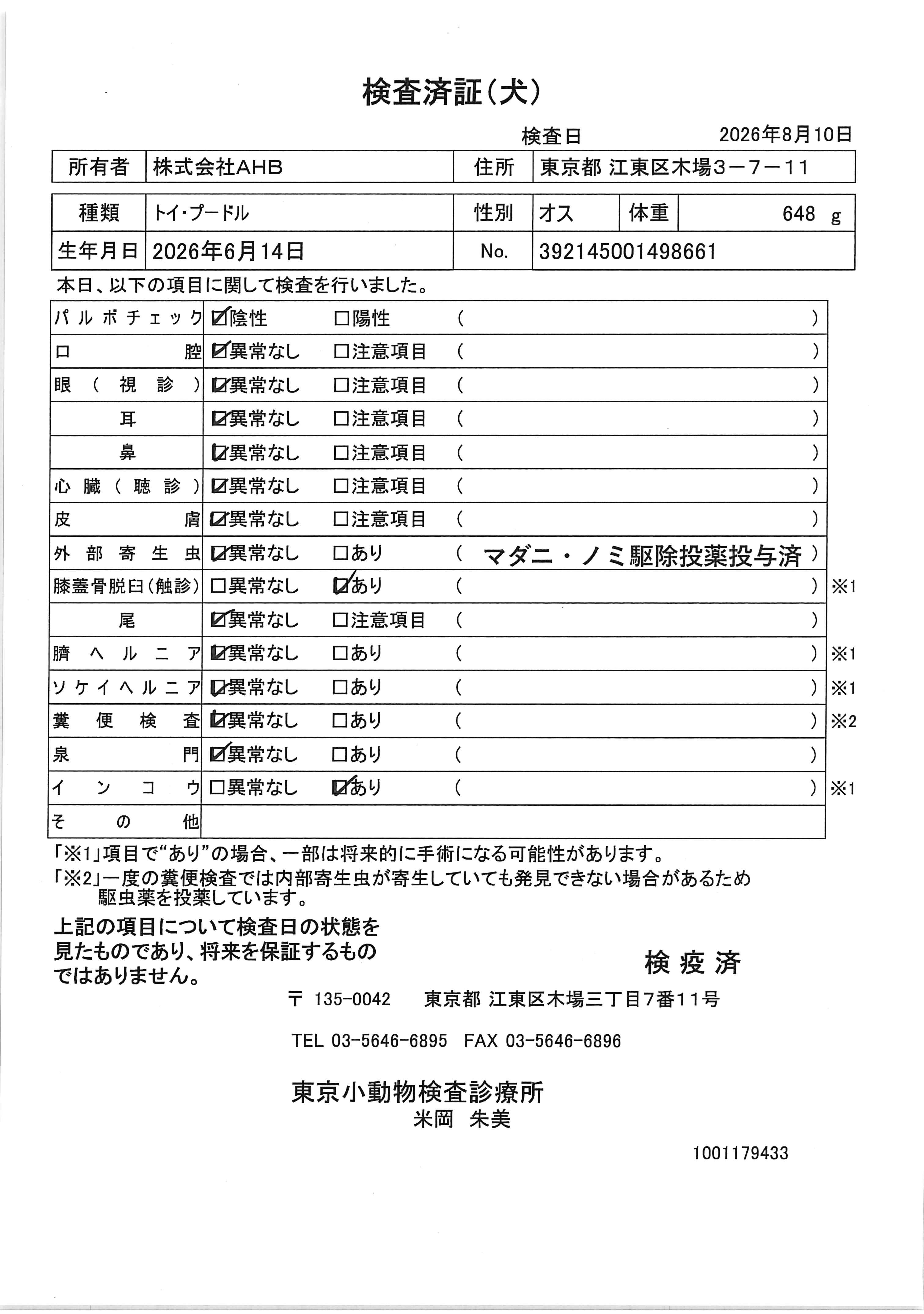 トイ・プードル