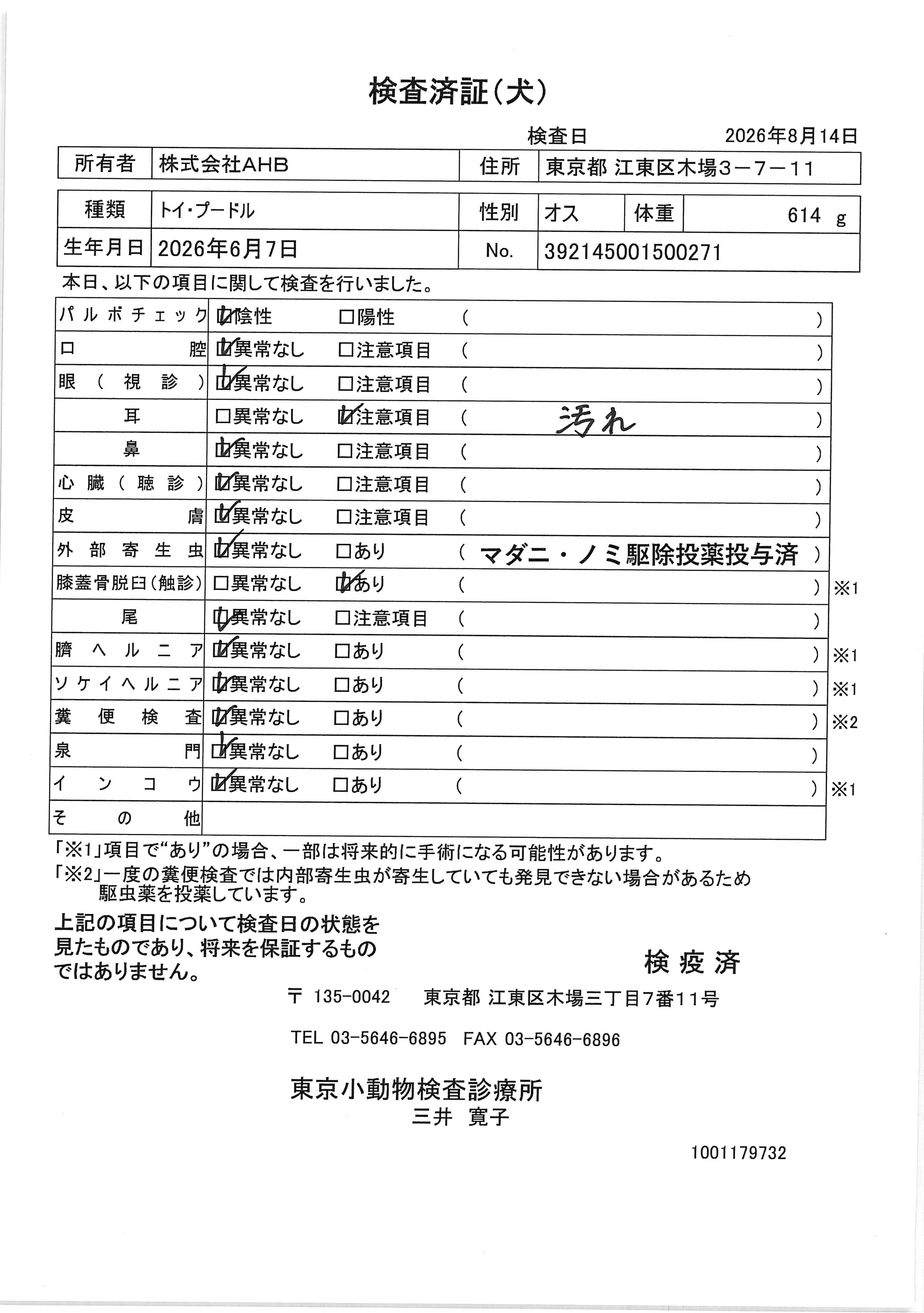 トイ・プードル