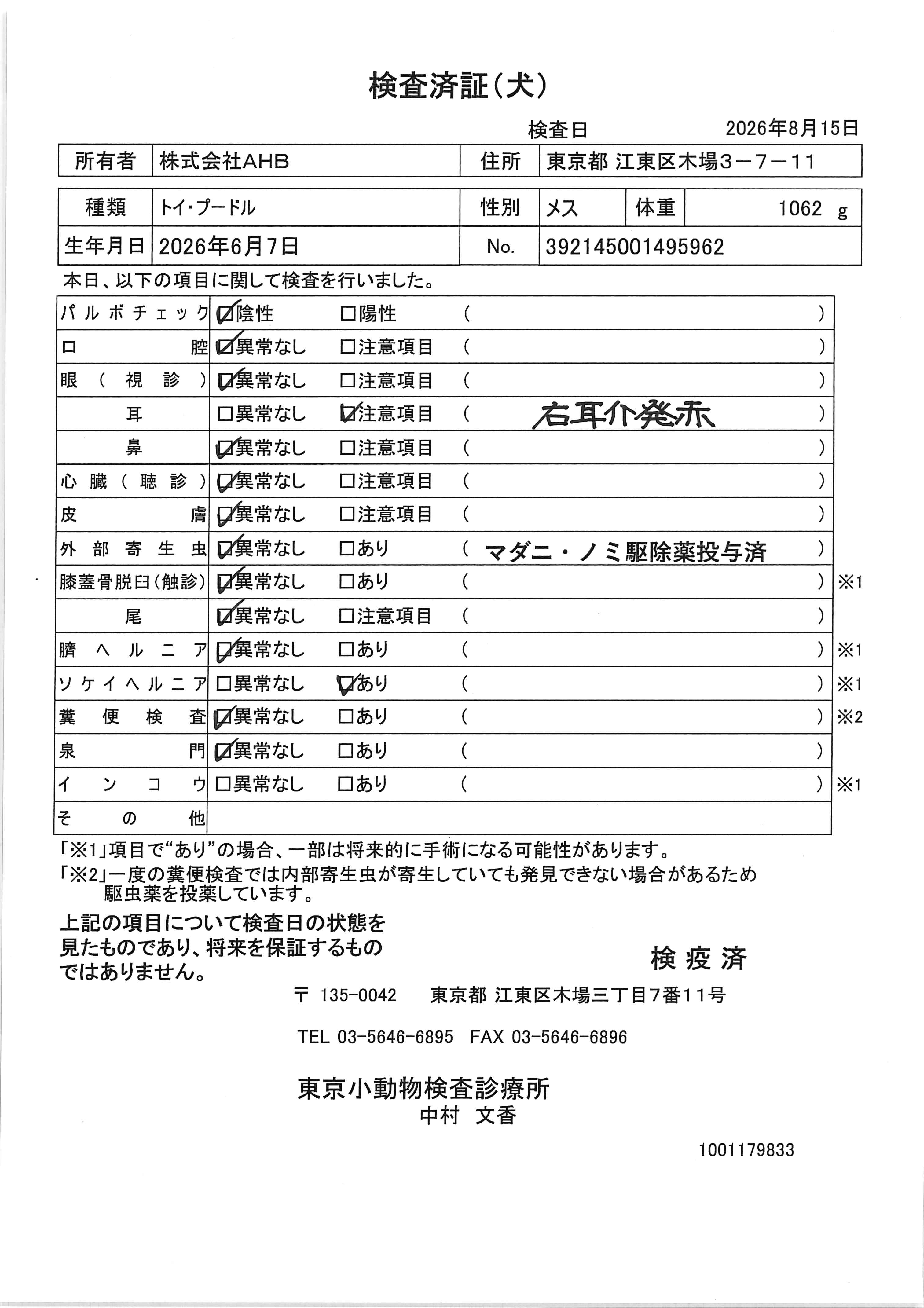 トイ・プードル