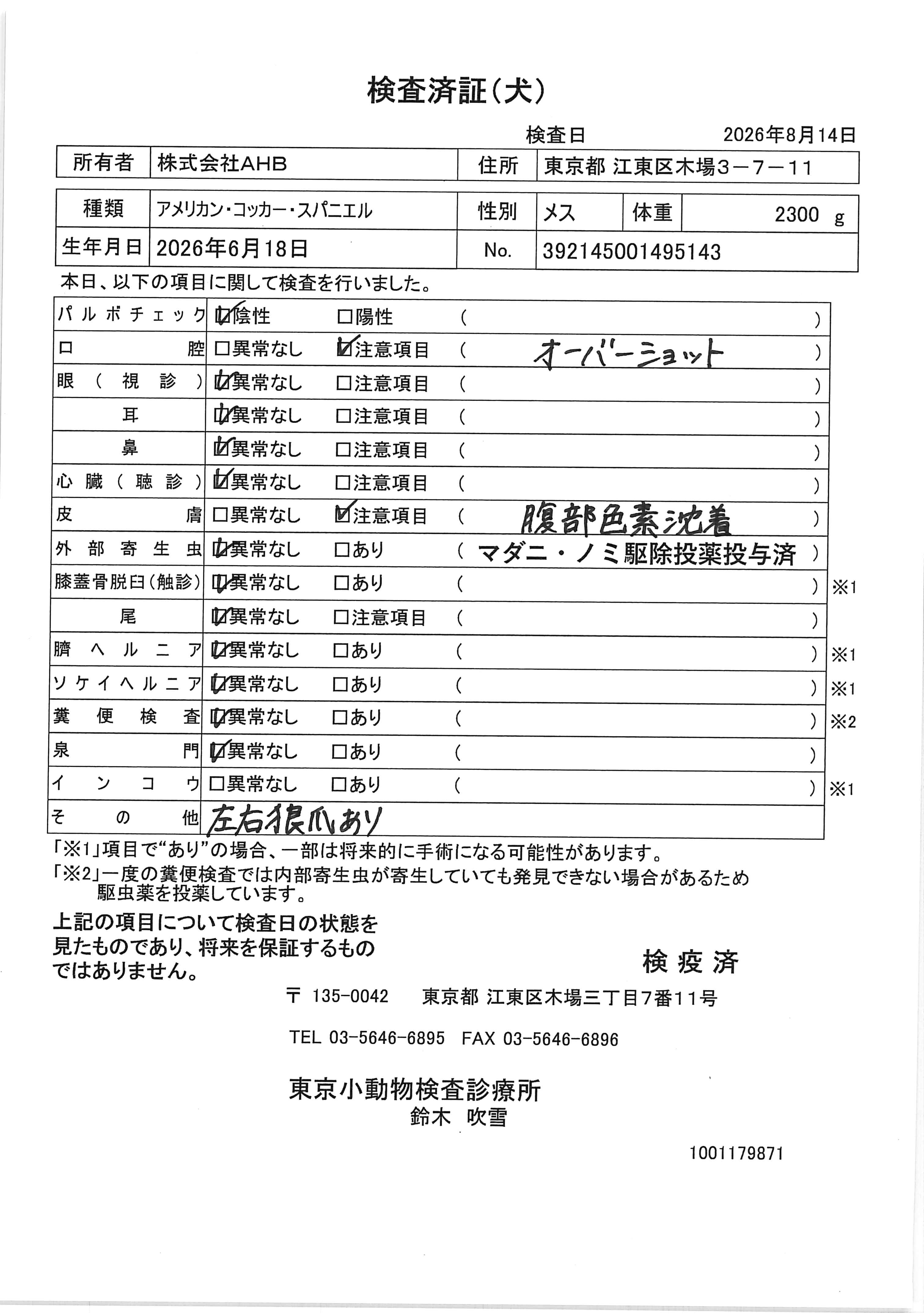 アメリカン・コッカー・スパニエル