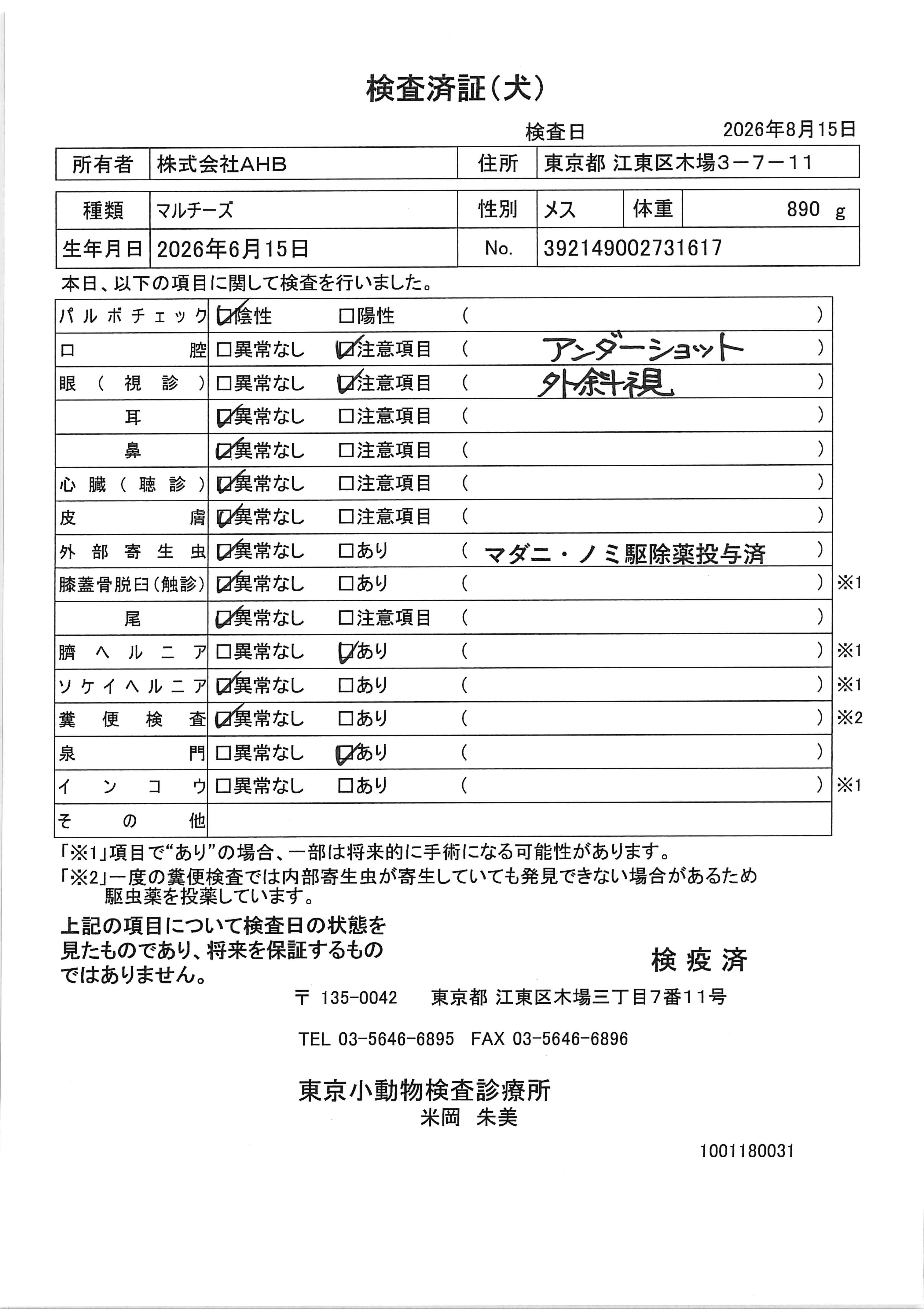 マルチーズ