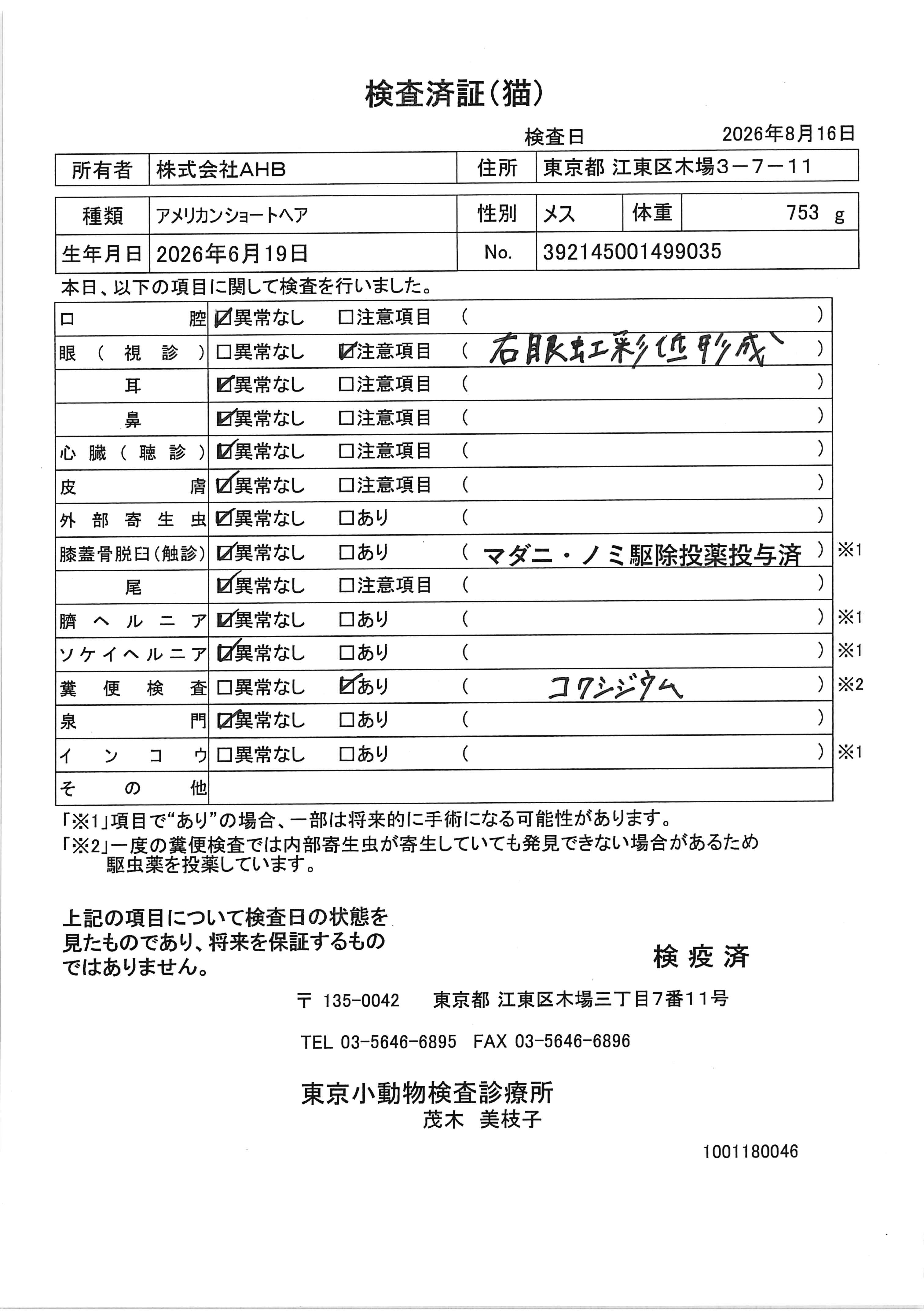 アメリカンショートヘア