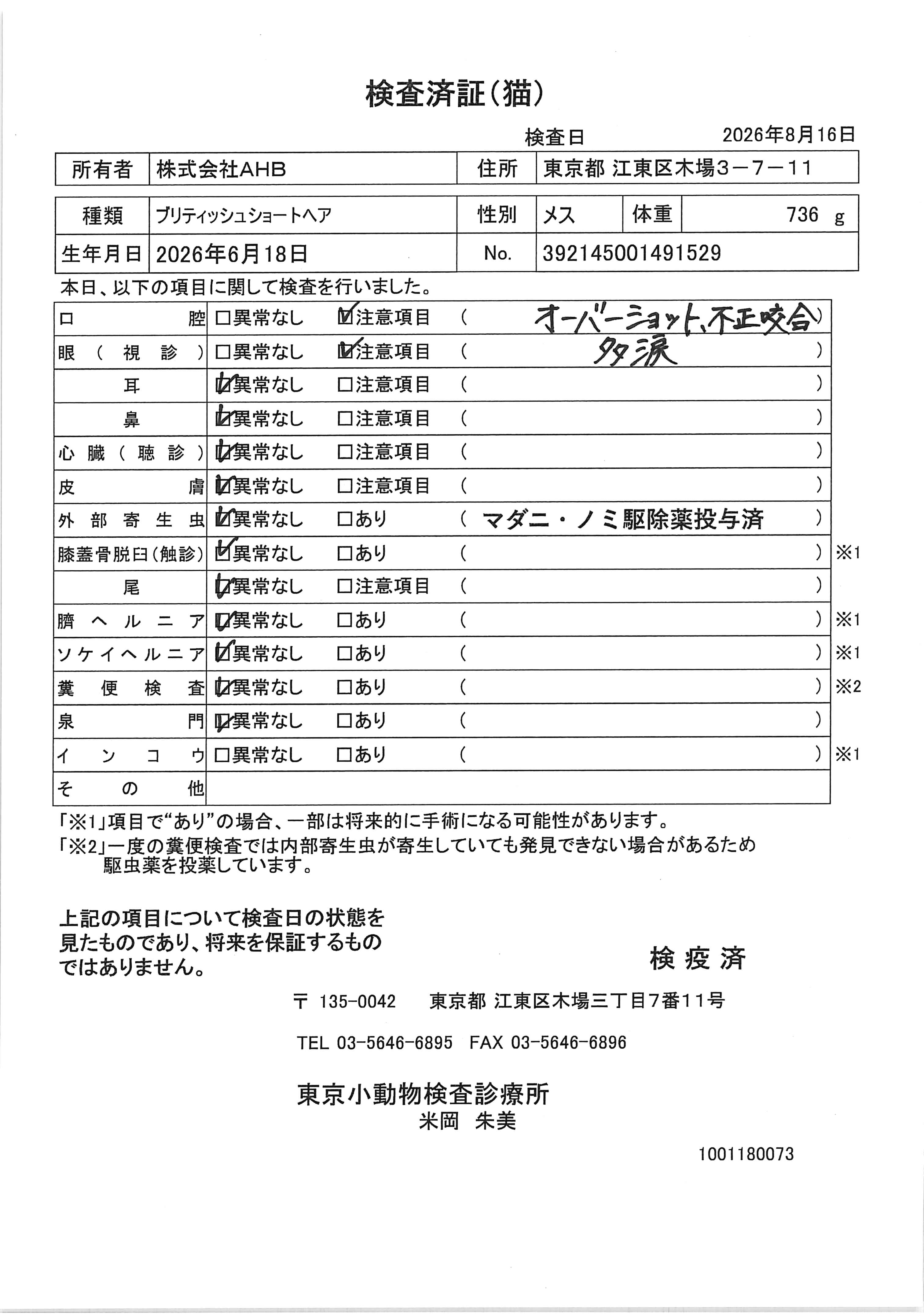 ブリティッシュショートヘア