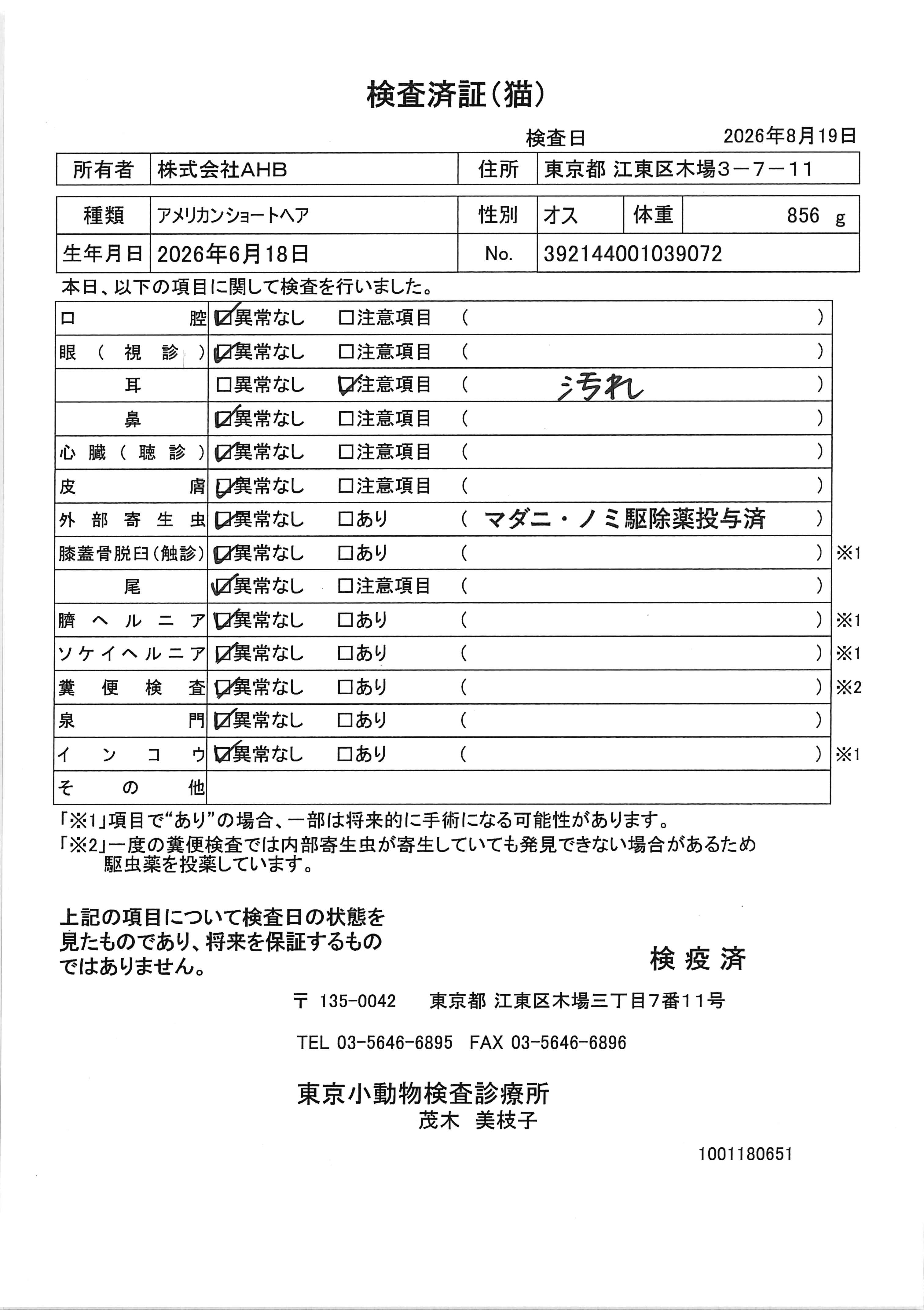 アメリカンショートヘア