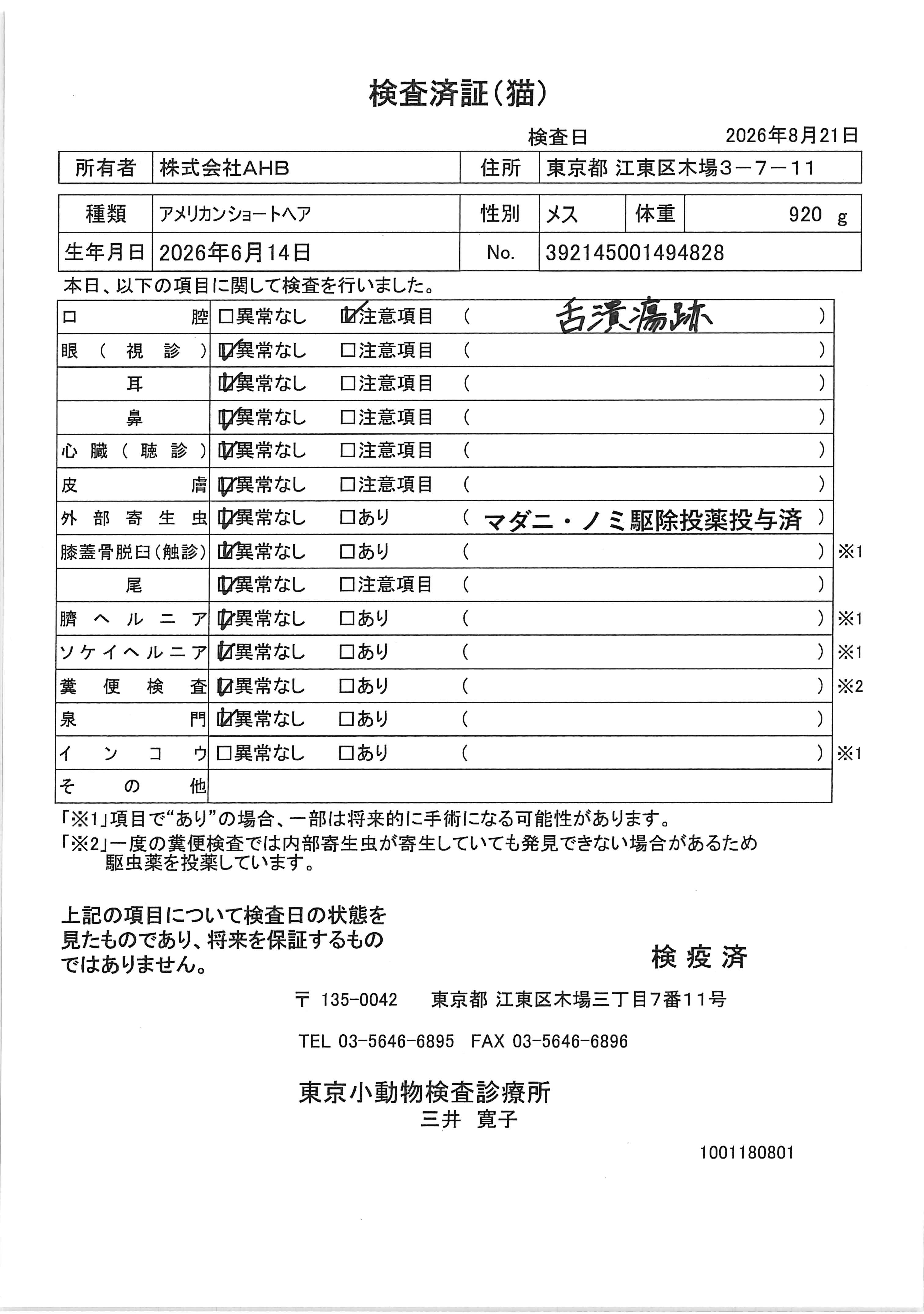 アメリカンショートヘア