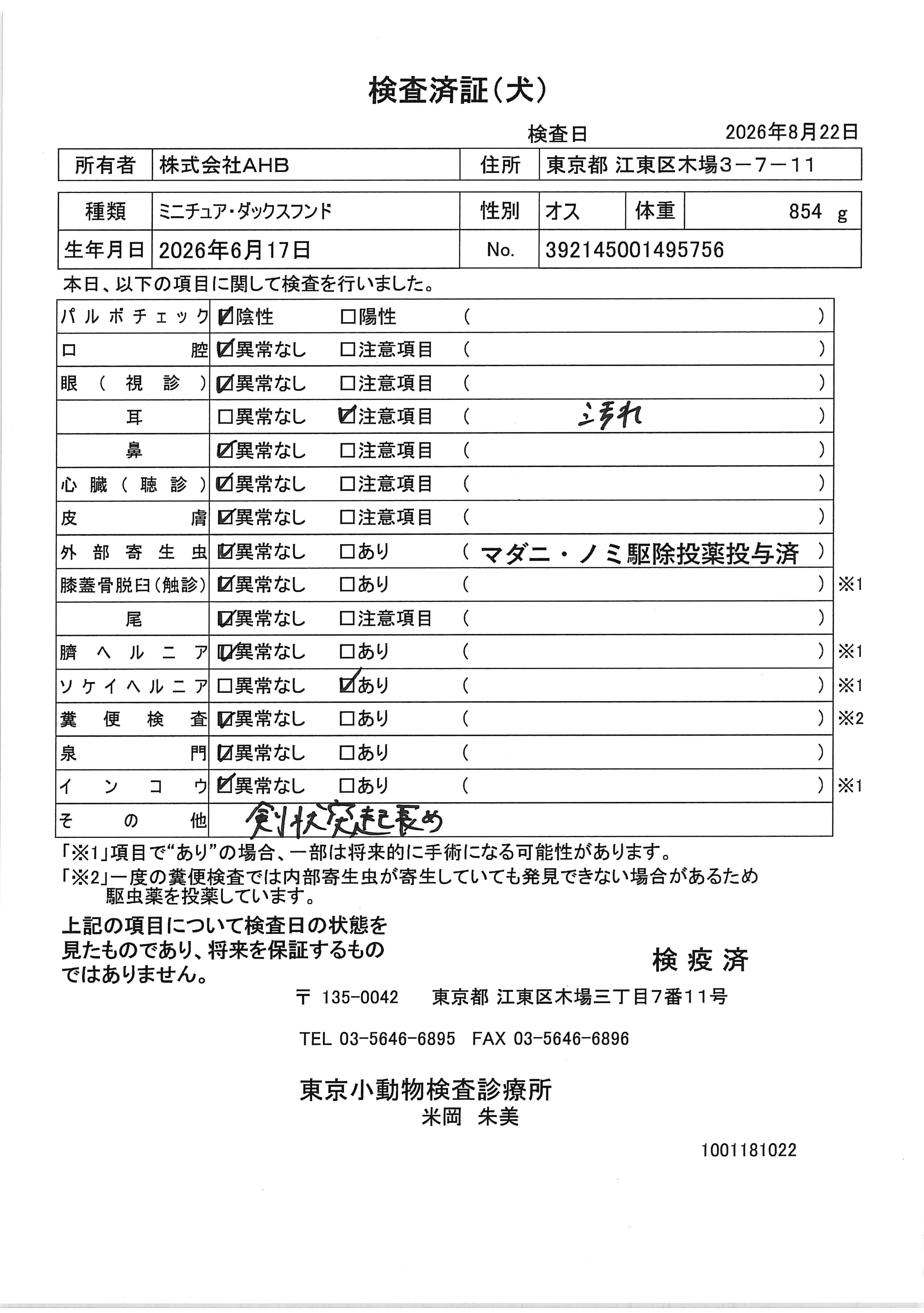 ミニチュア・ダックスフンド