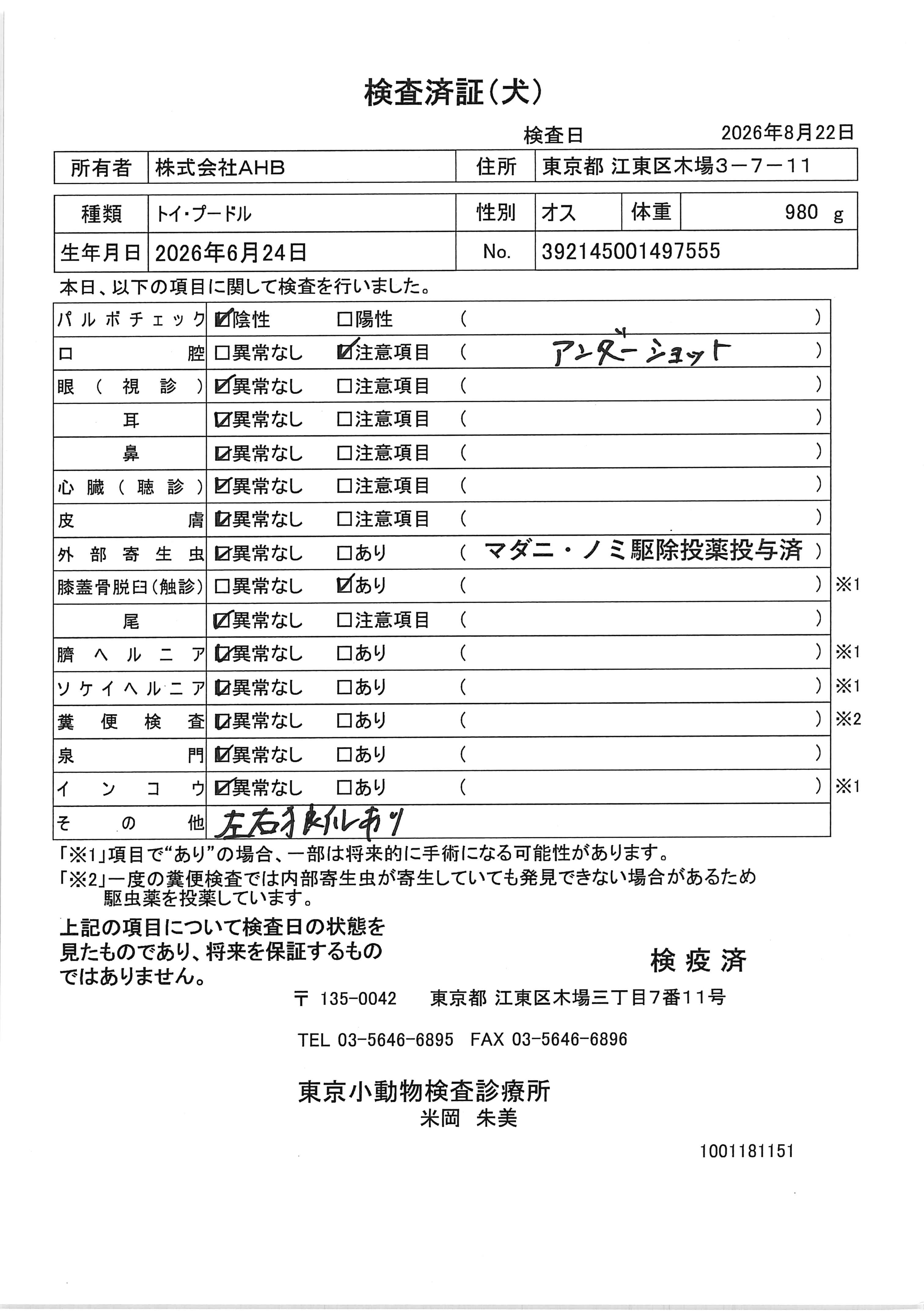 トイ・プードル