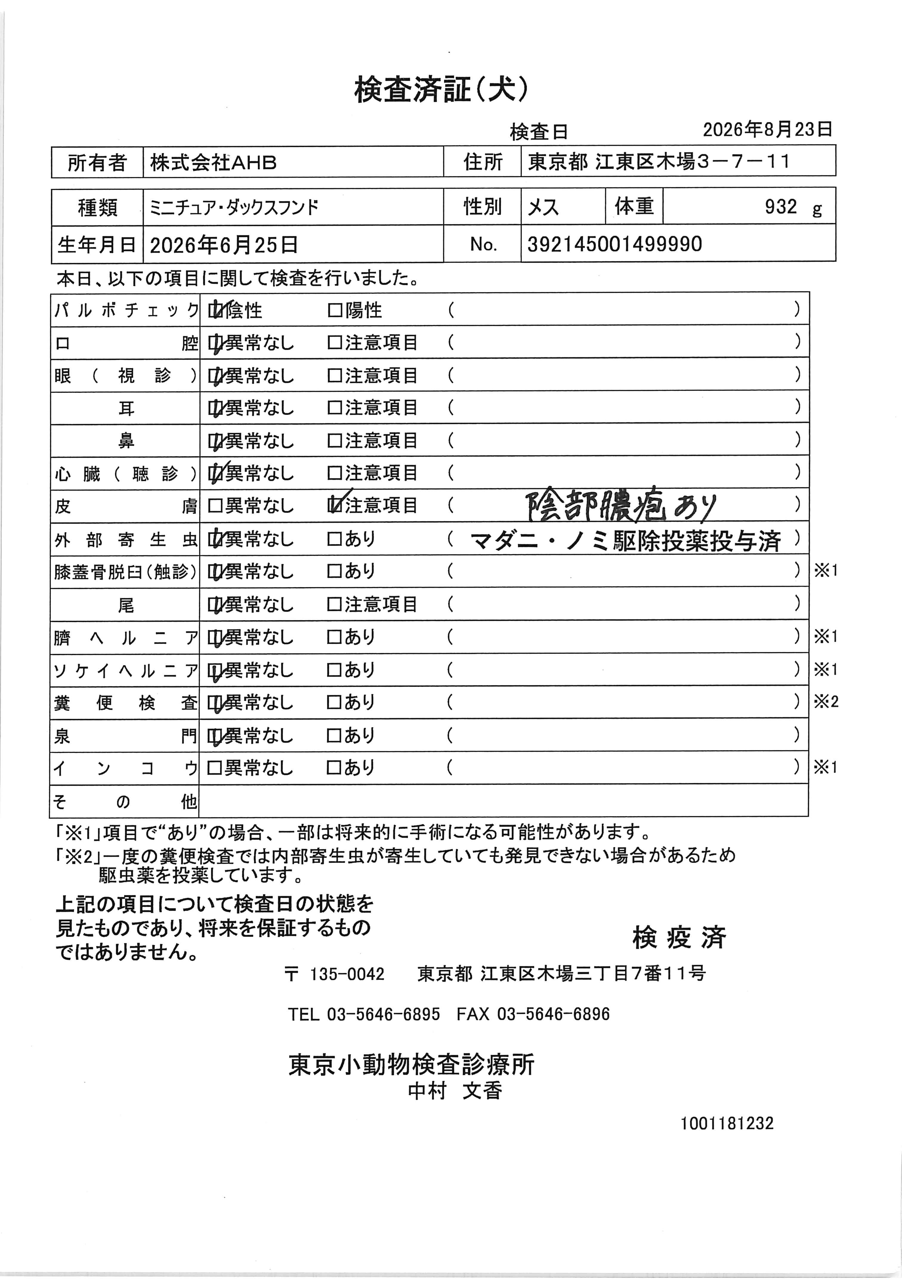 ミニチュア・ダックスフンド
