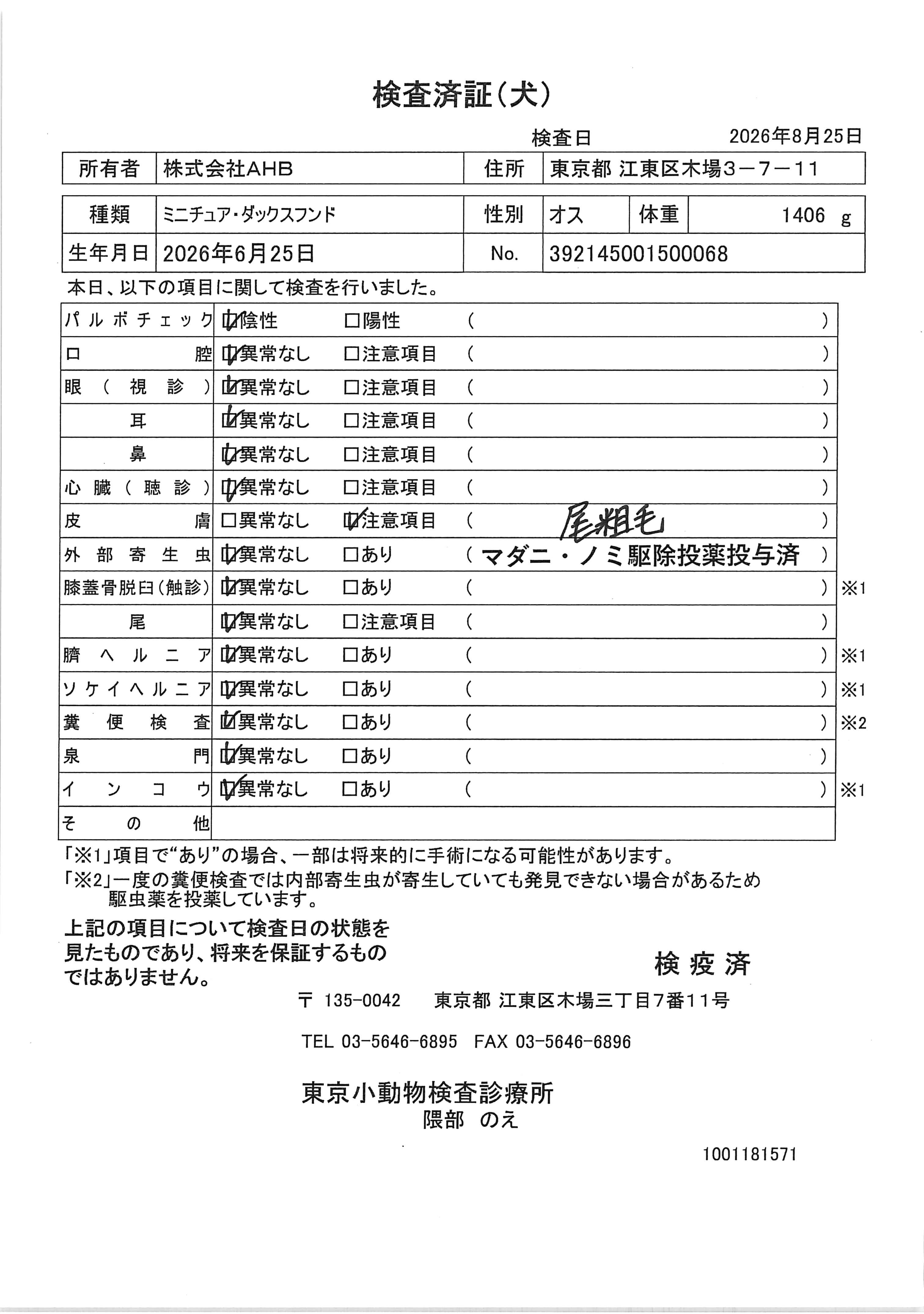 ミニチュア・ダックスフンド
