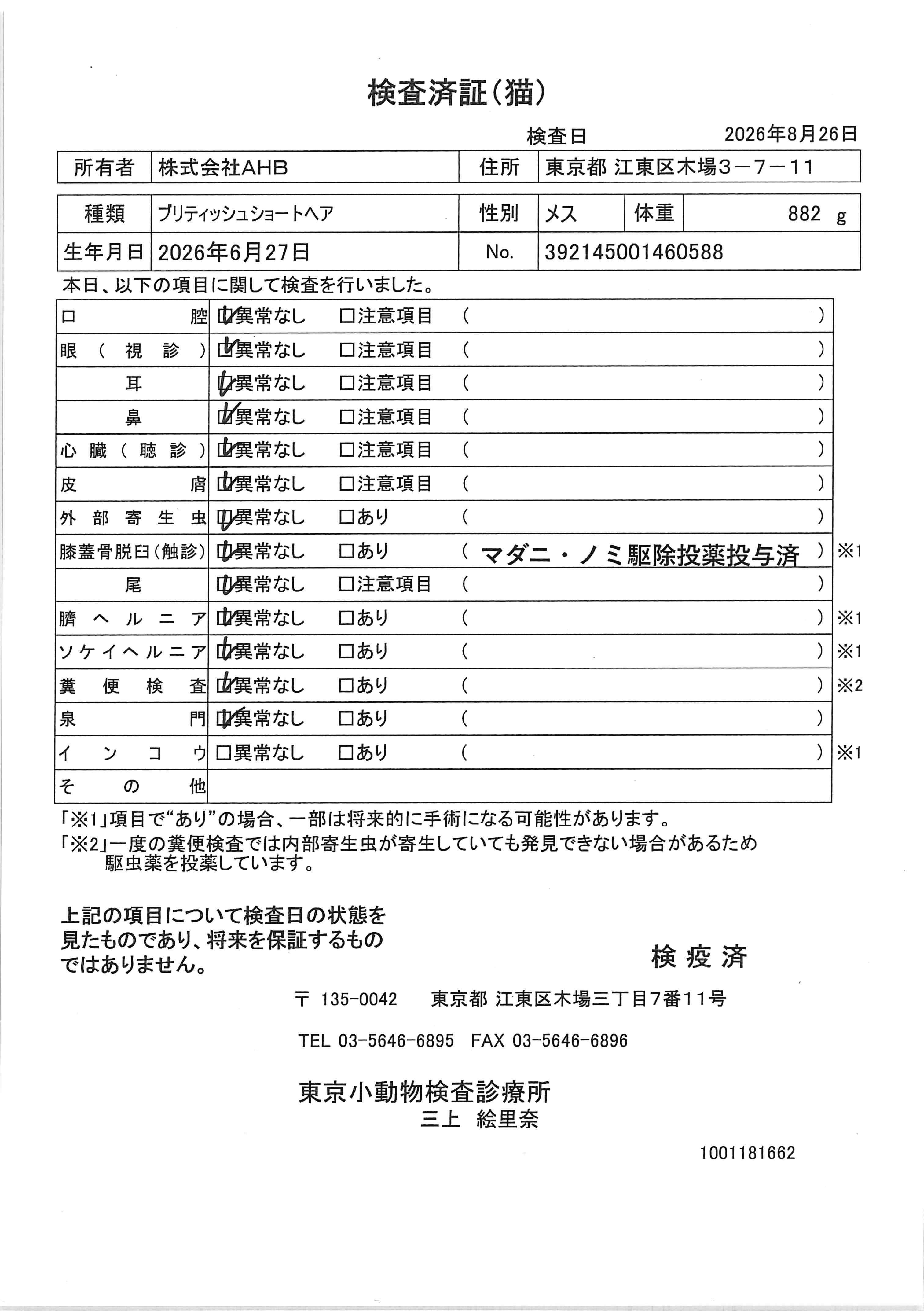 ブリティッシュショートヘア