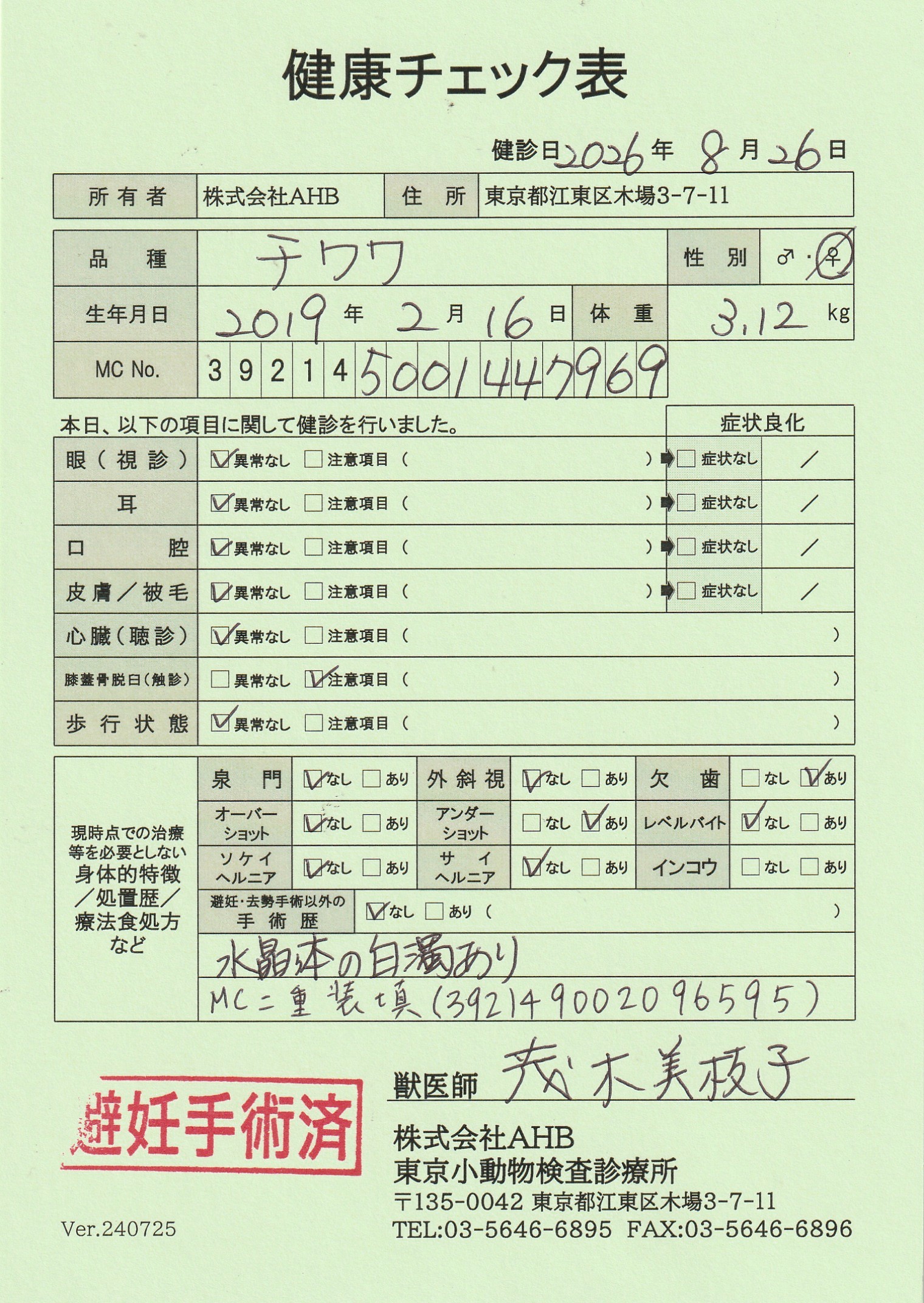 チワワ