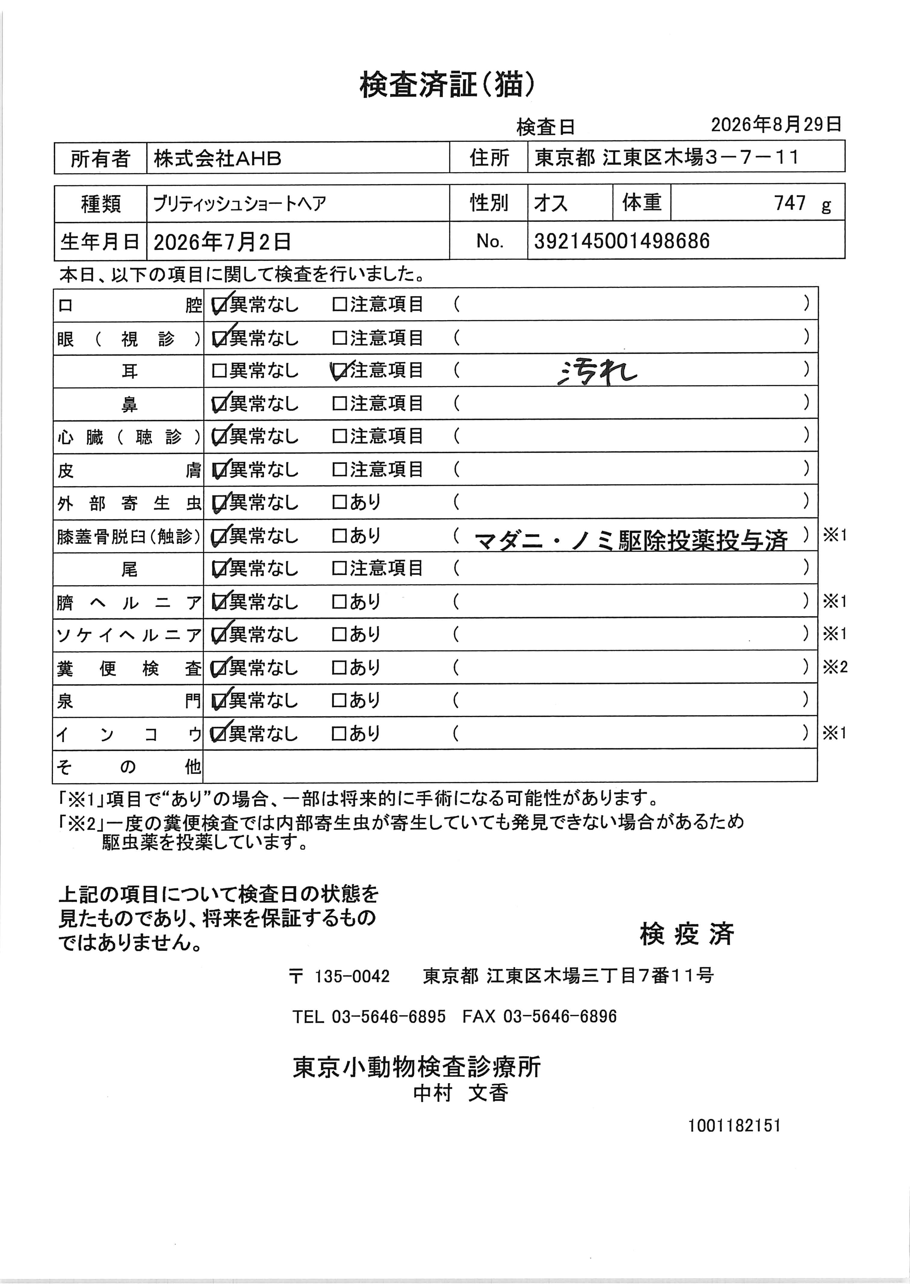 ブリティッシュショートヘア