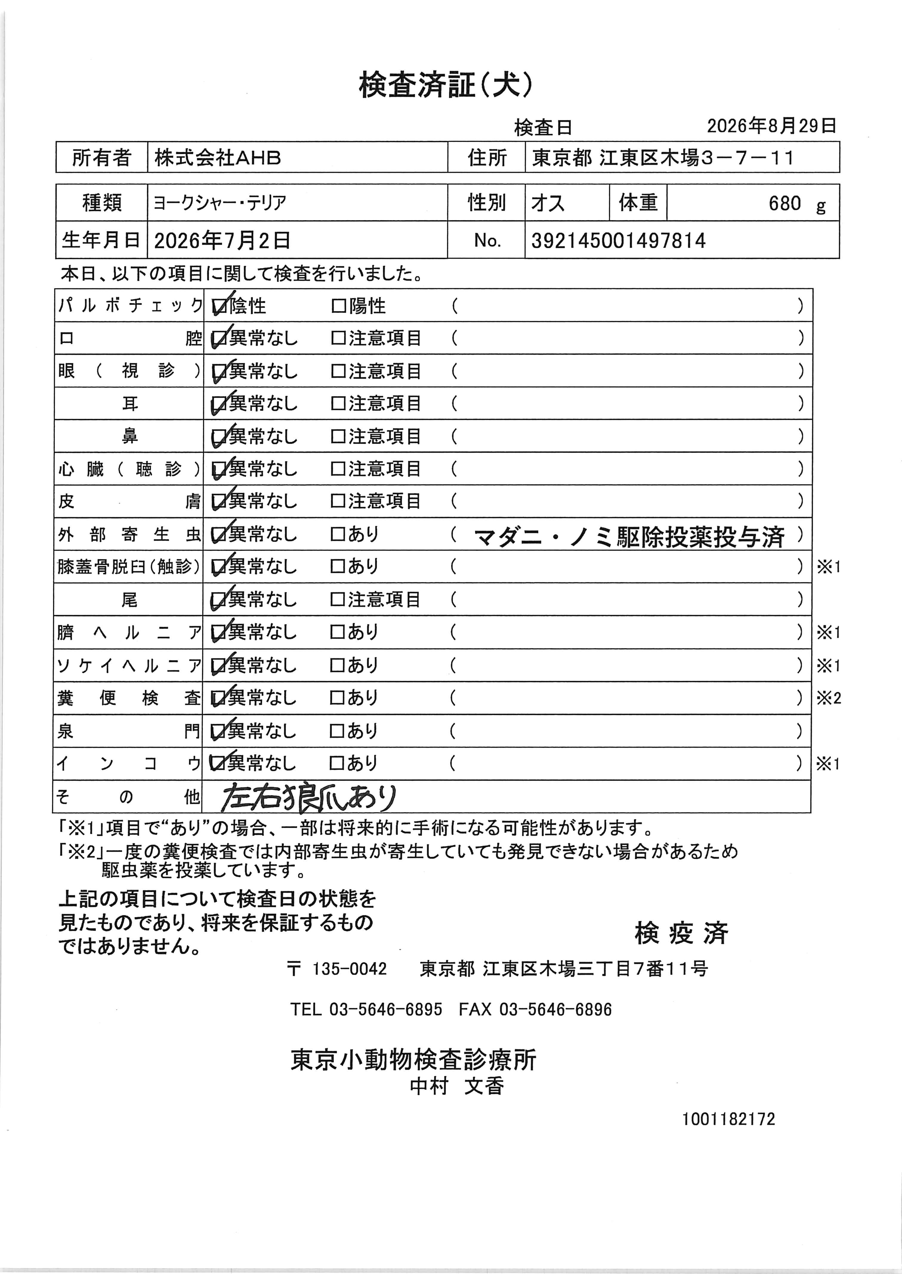 ヨークシャー・テリア