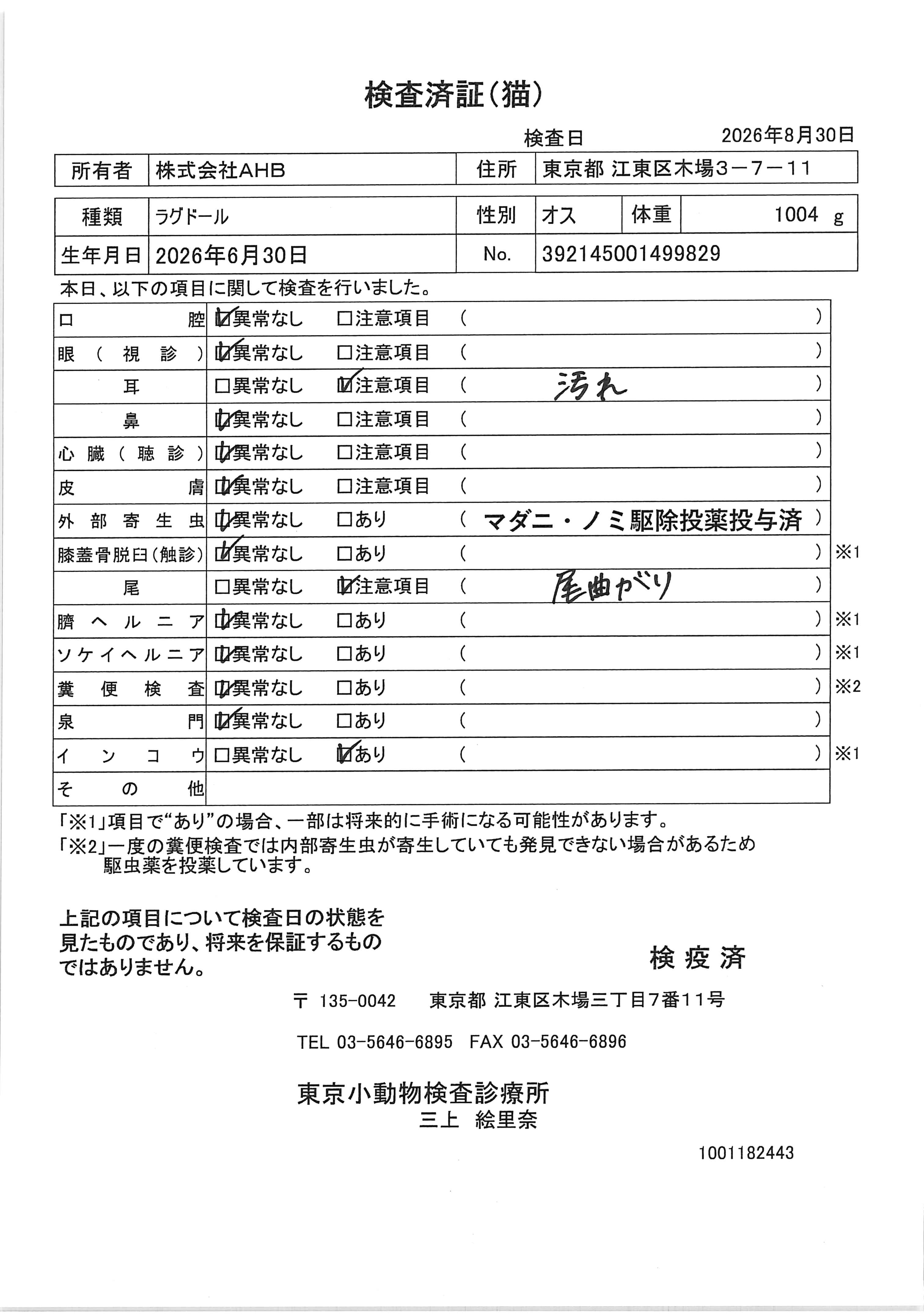 ラグドール