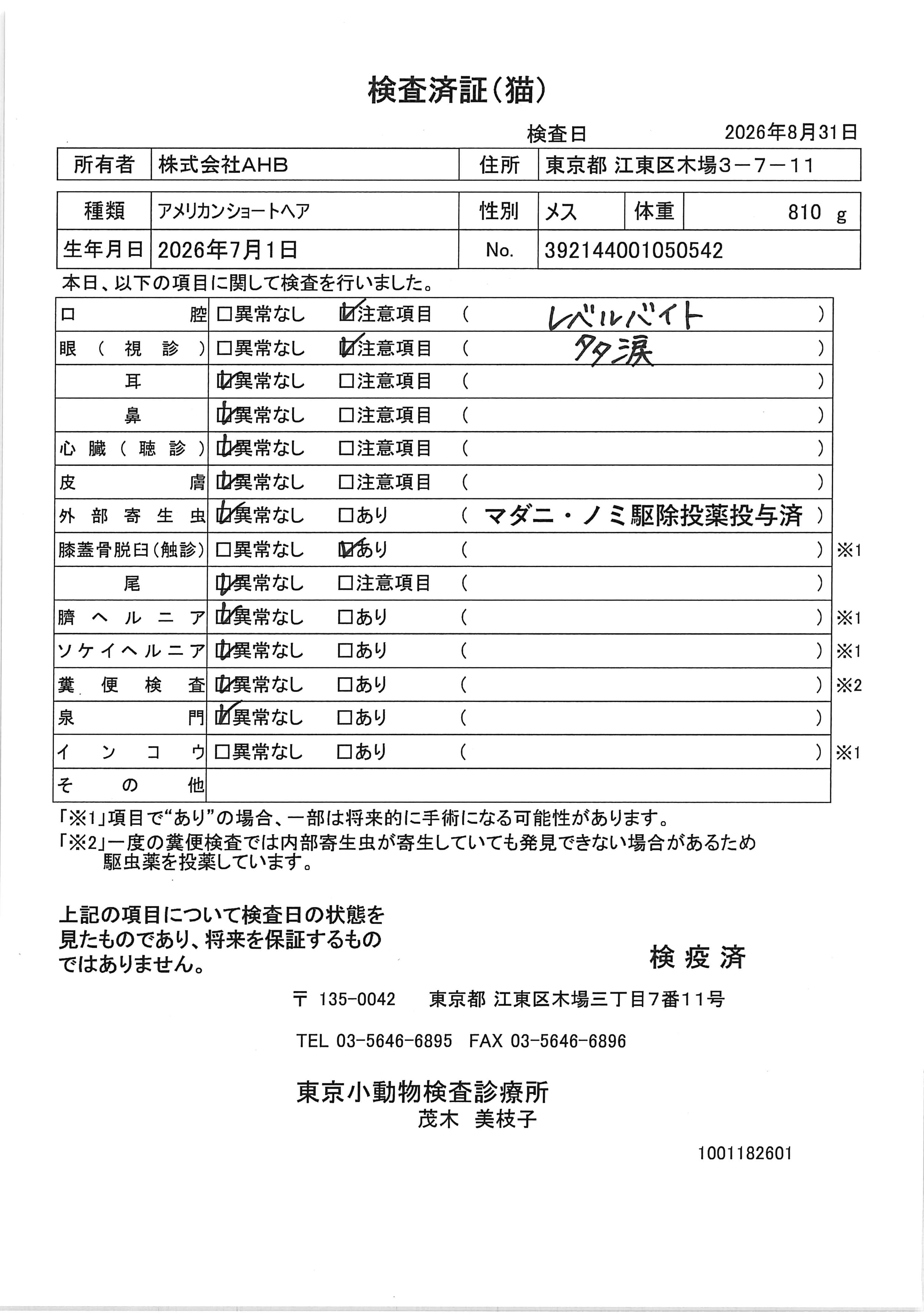 アメリカンショートヘア