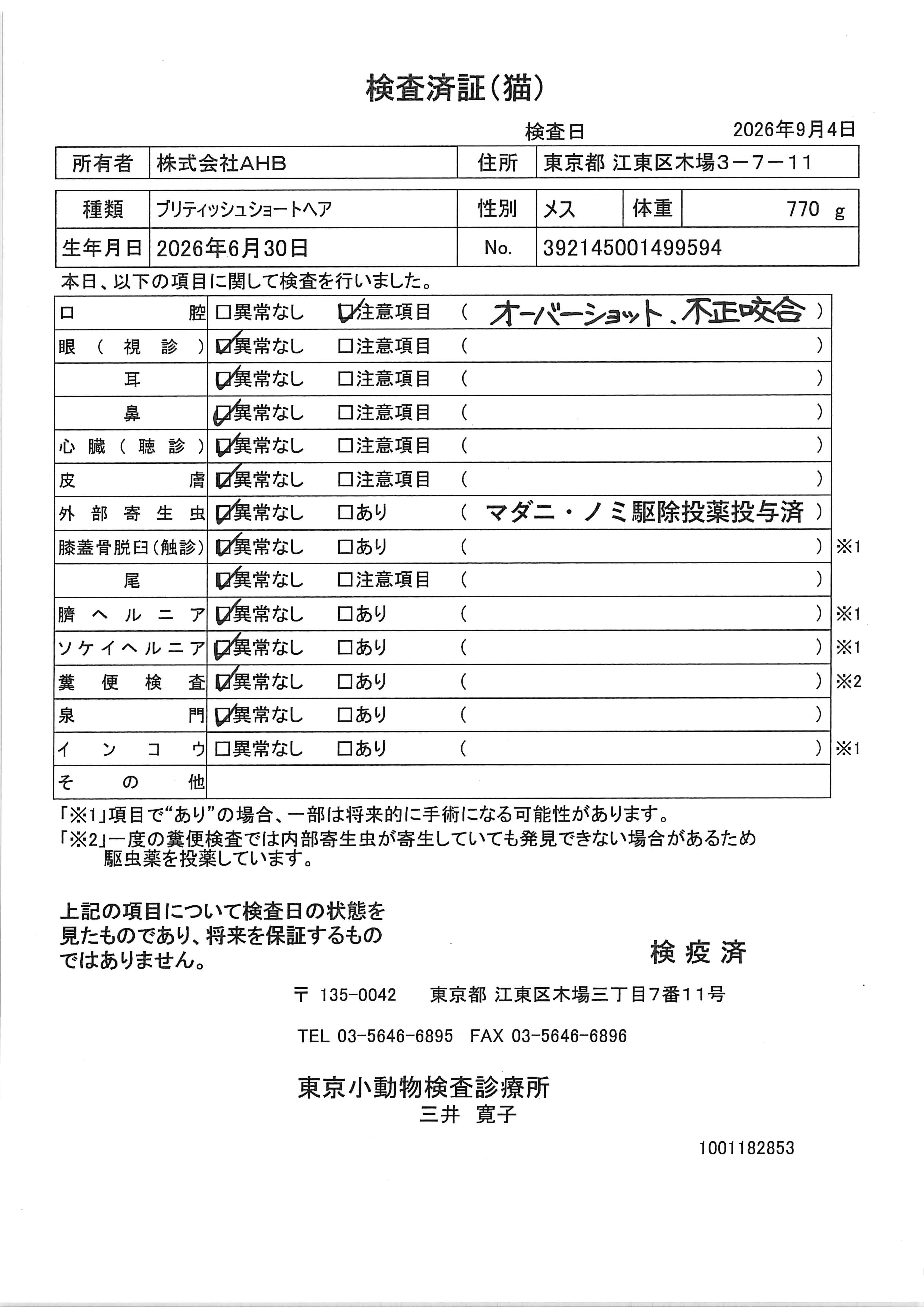 ブリティッシュショートヘア