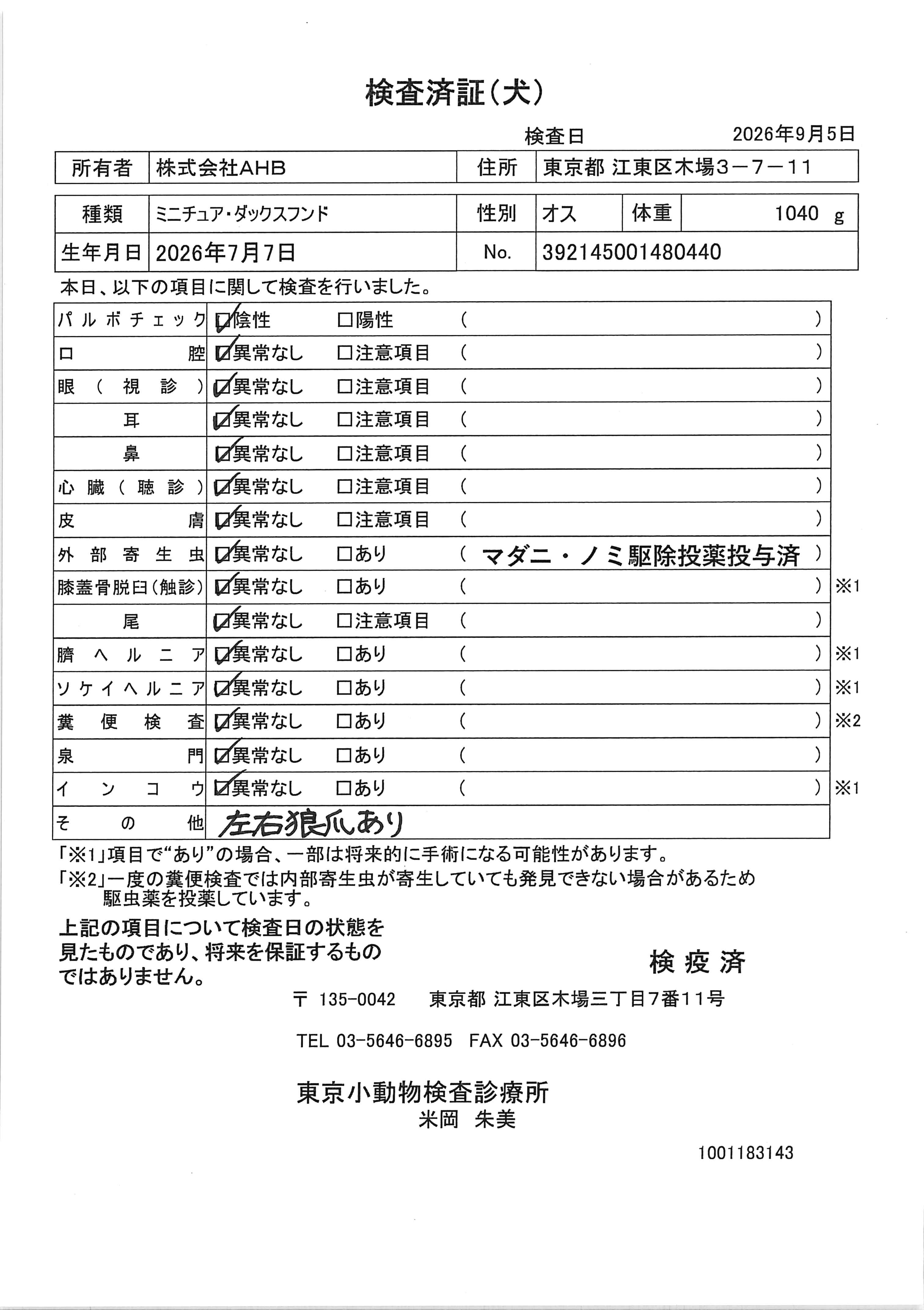 ミニチュア・ダックスフンド