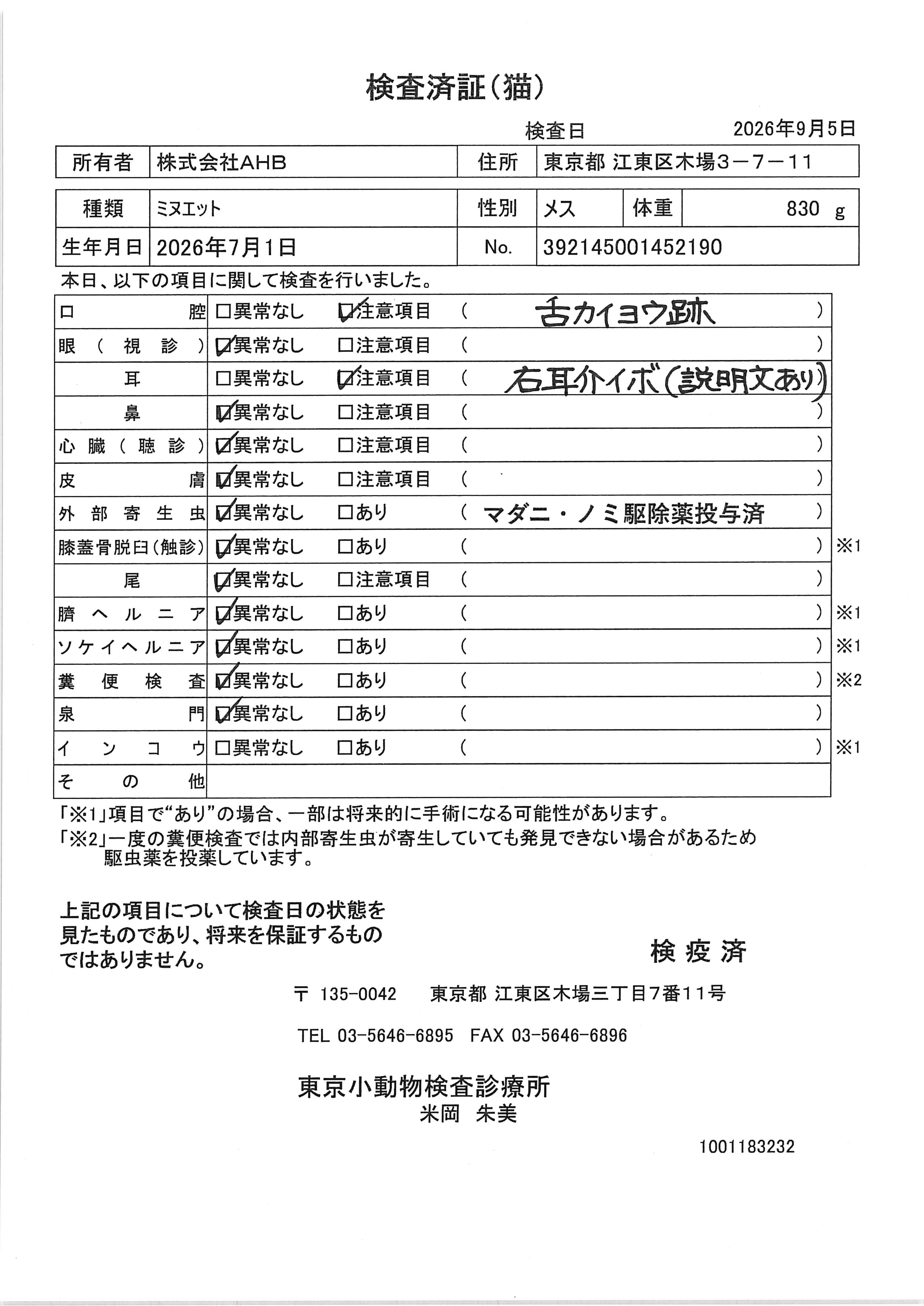 ミヌエット