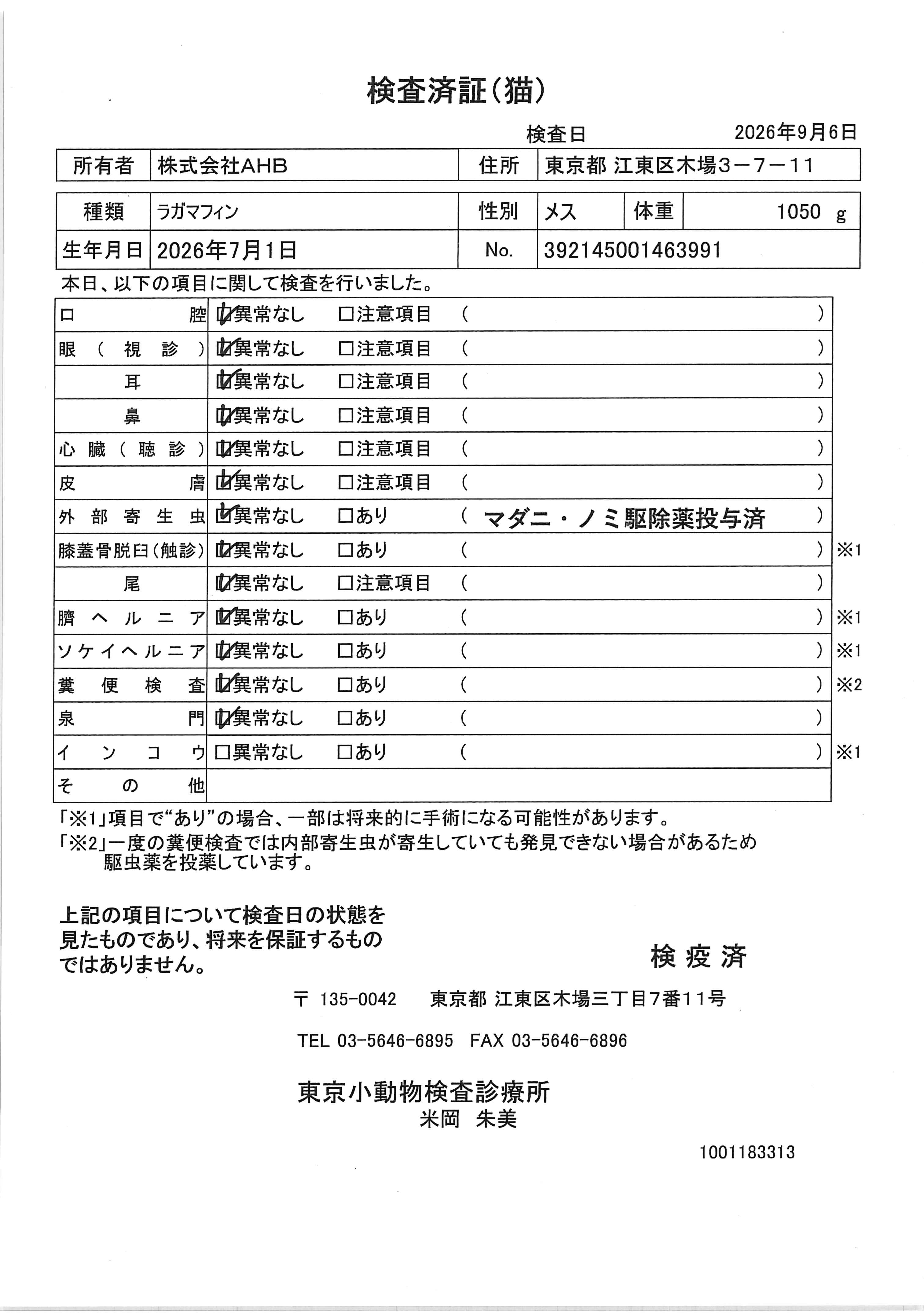 ラガマフィン