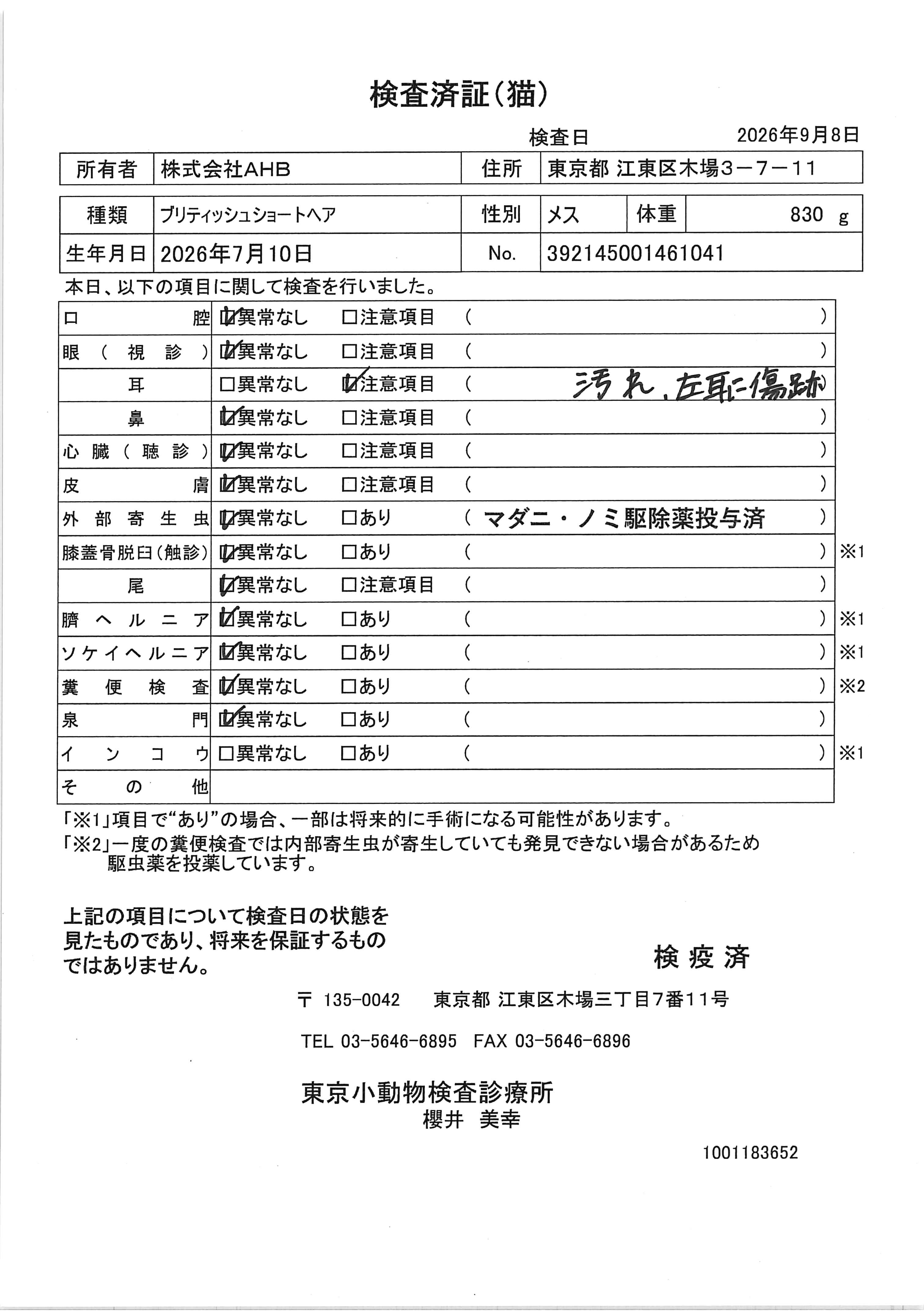 ブリティッシュショートヘア