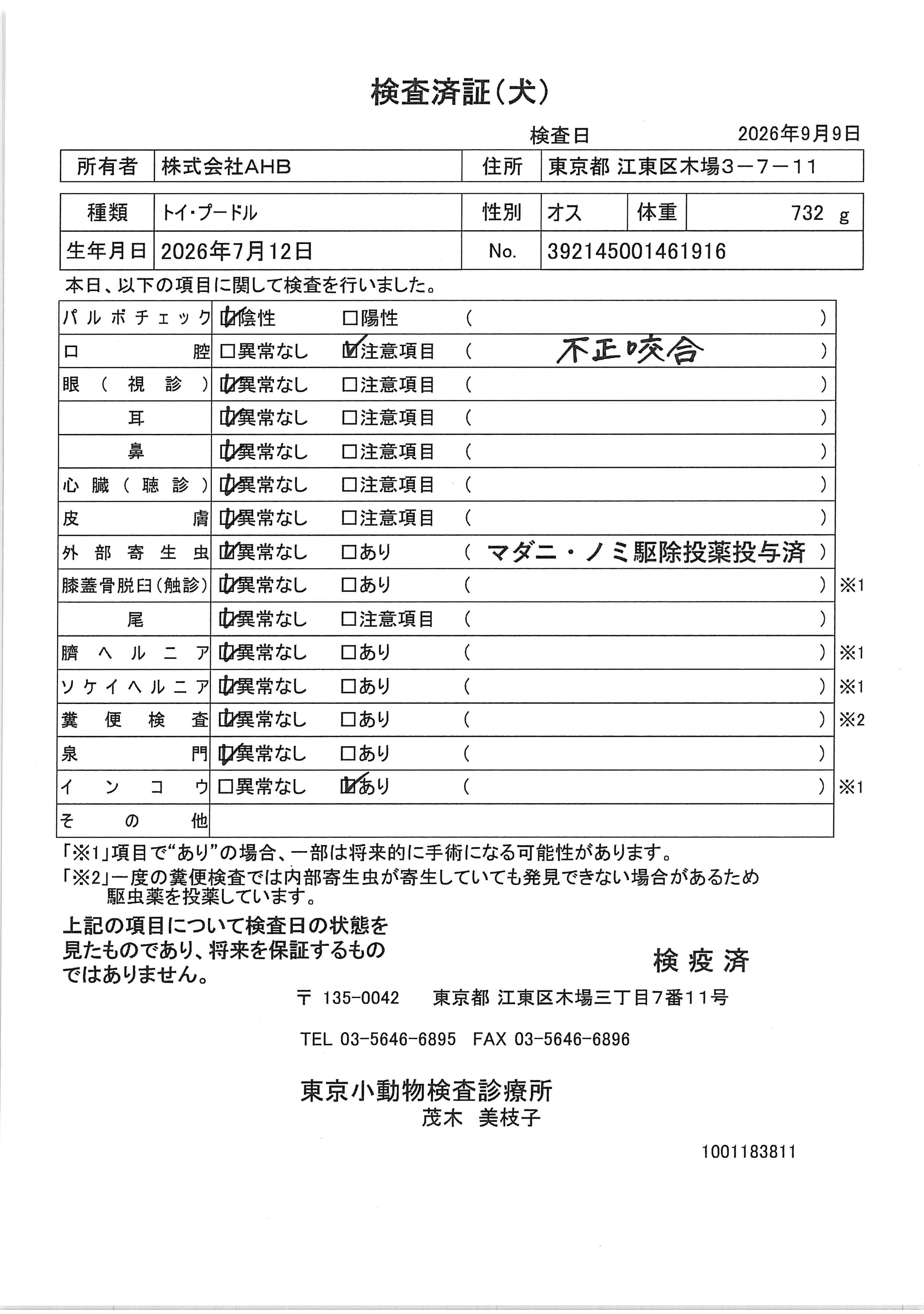 トイ・プードル