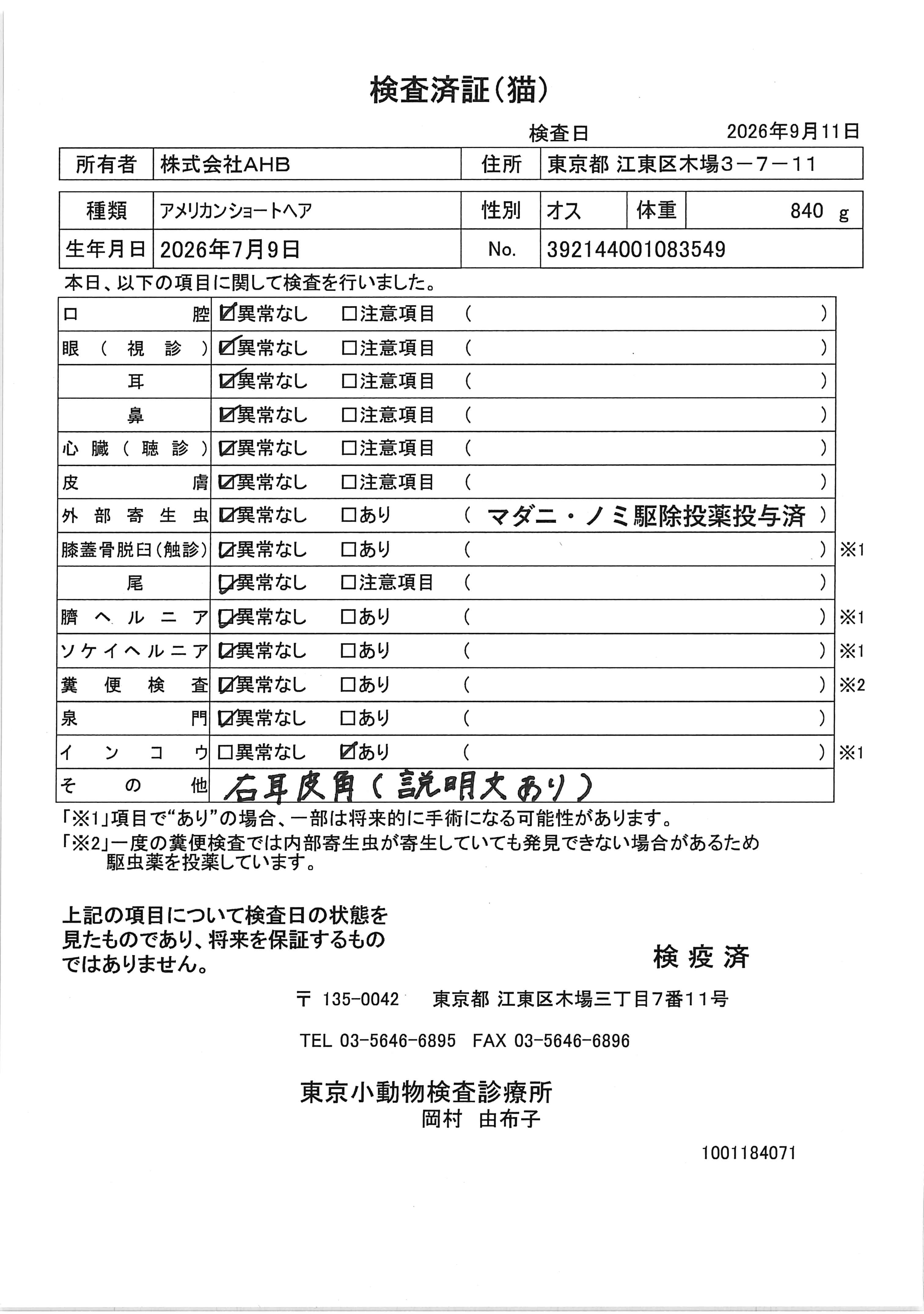 アメリカンショートヘア