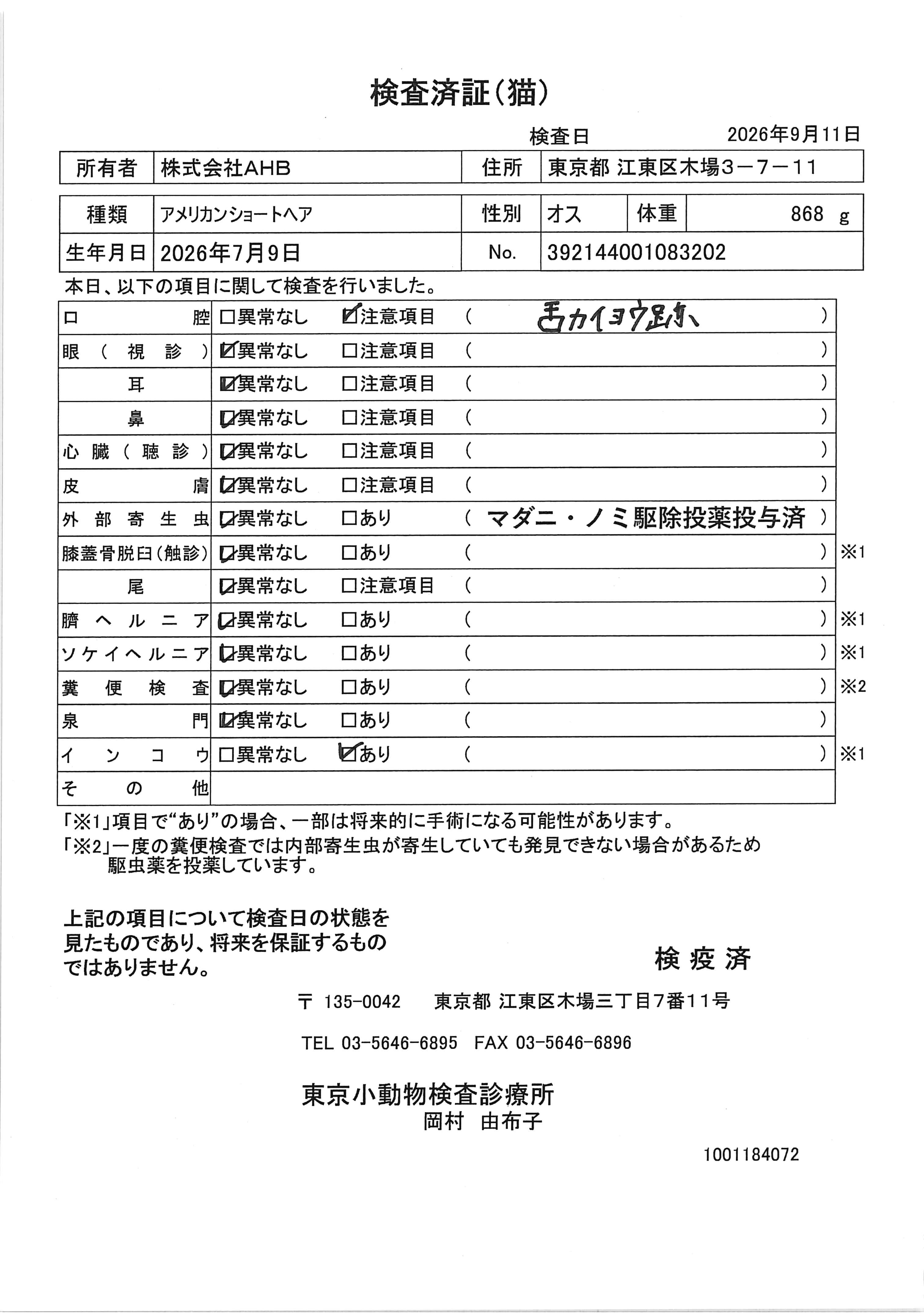 アメリカンショートヘア