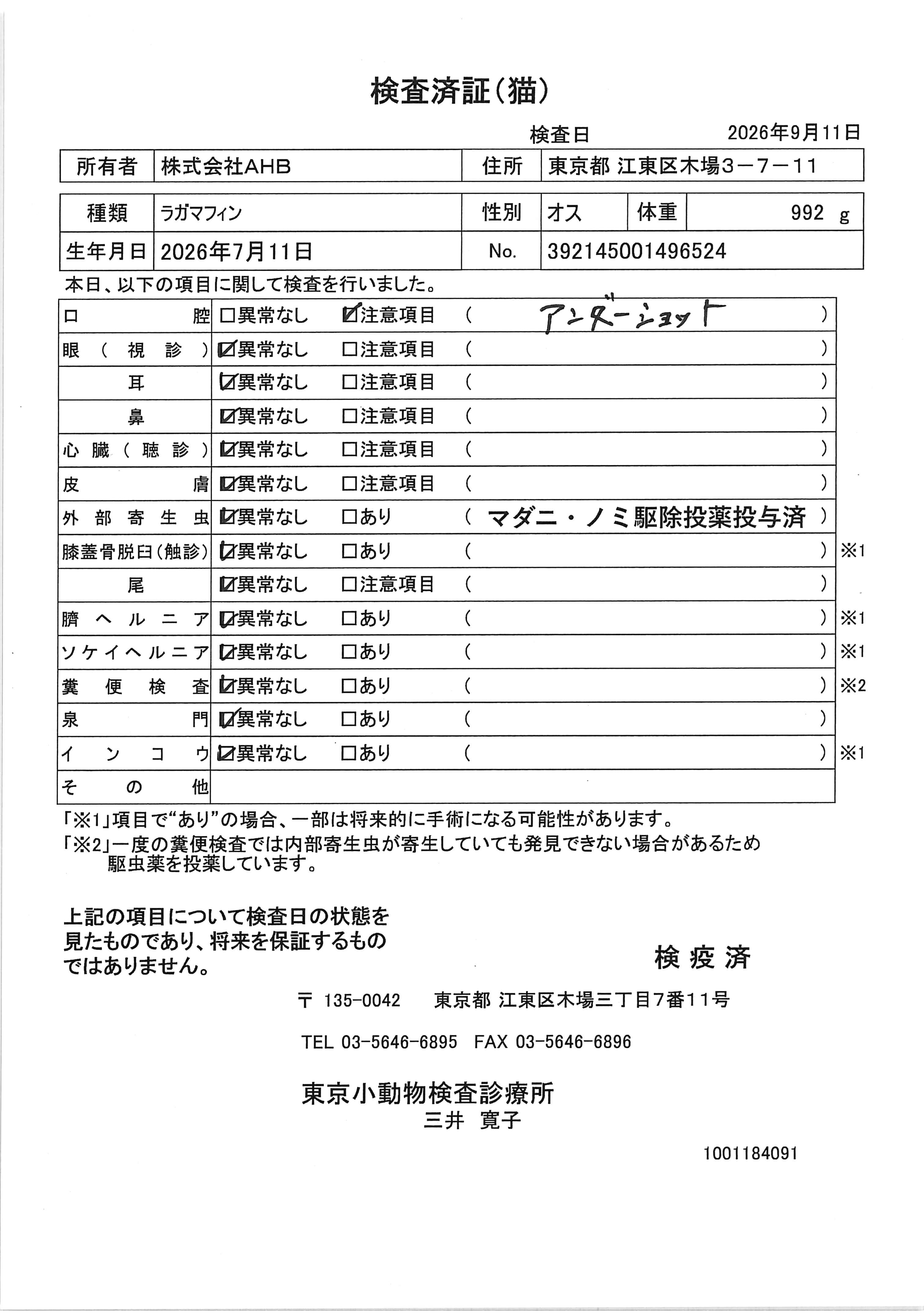 ラガマフィン
