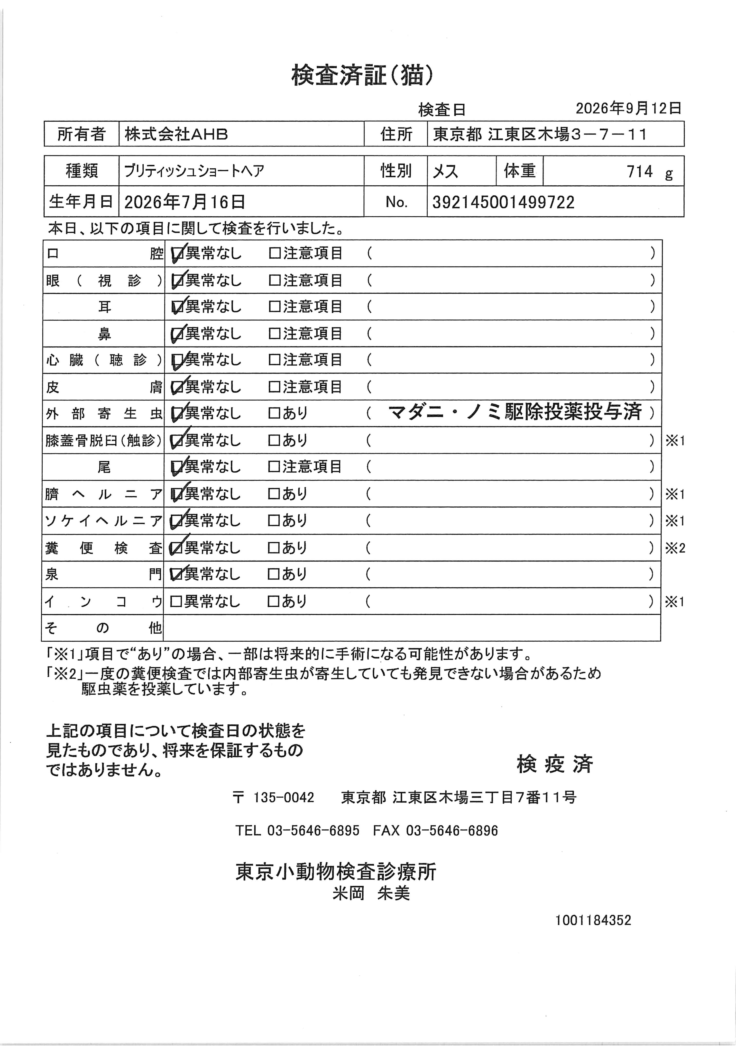 ブリティッシュショートヘア