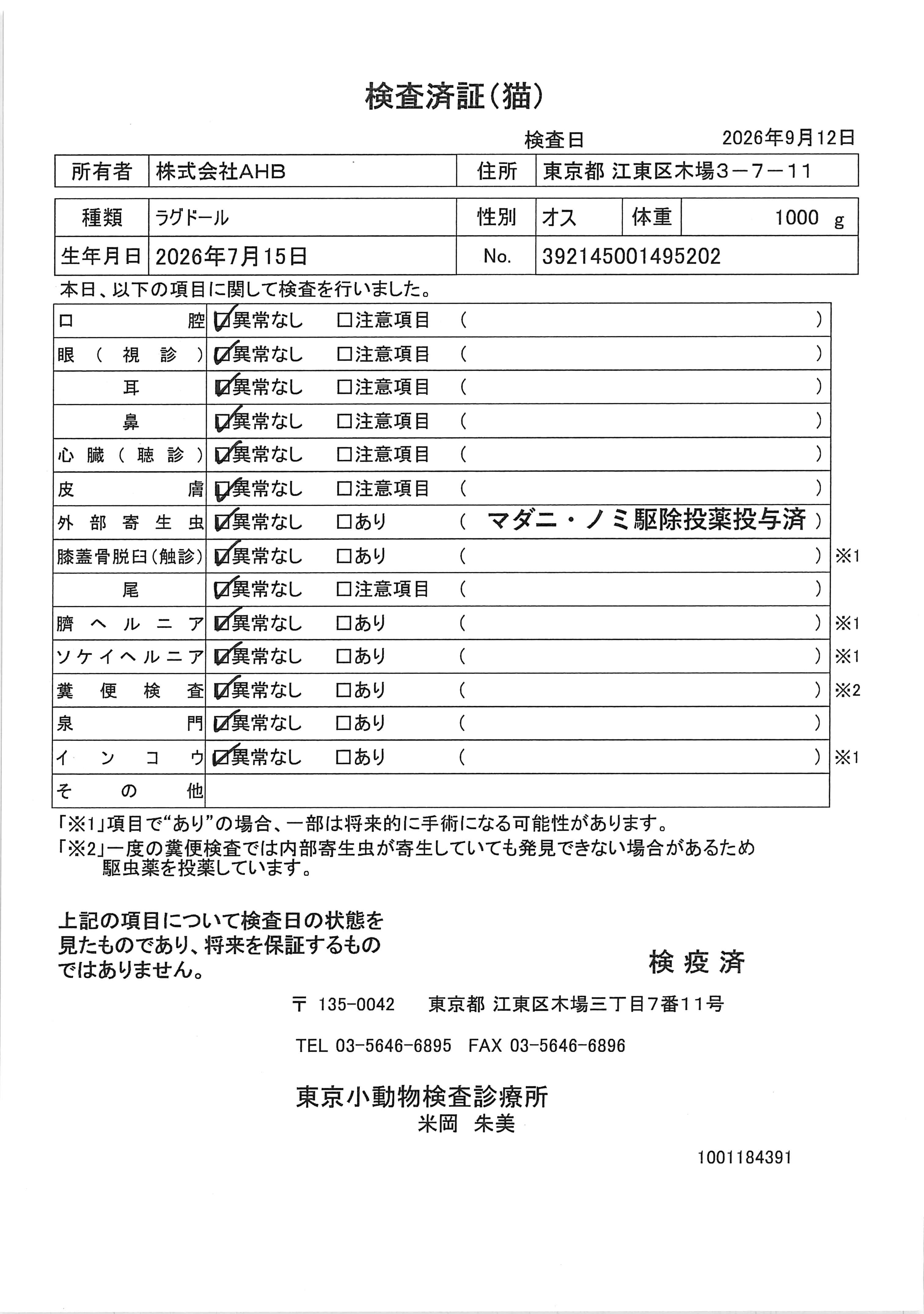 ラグドール