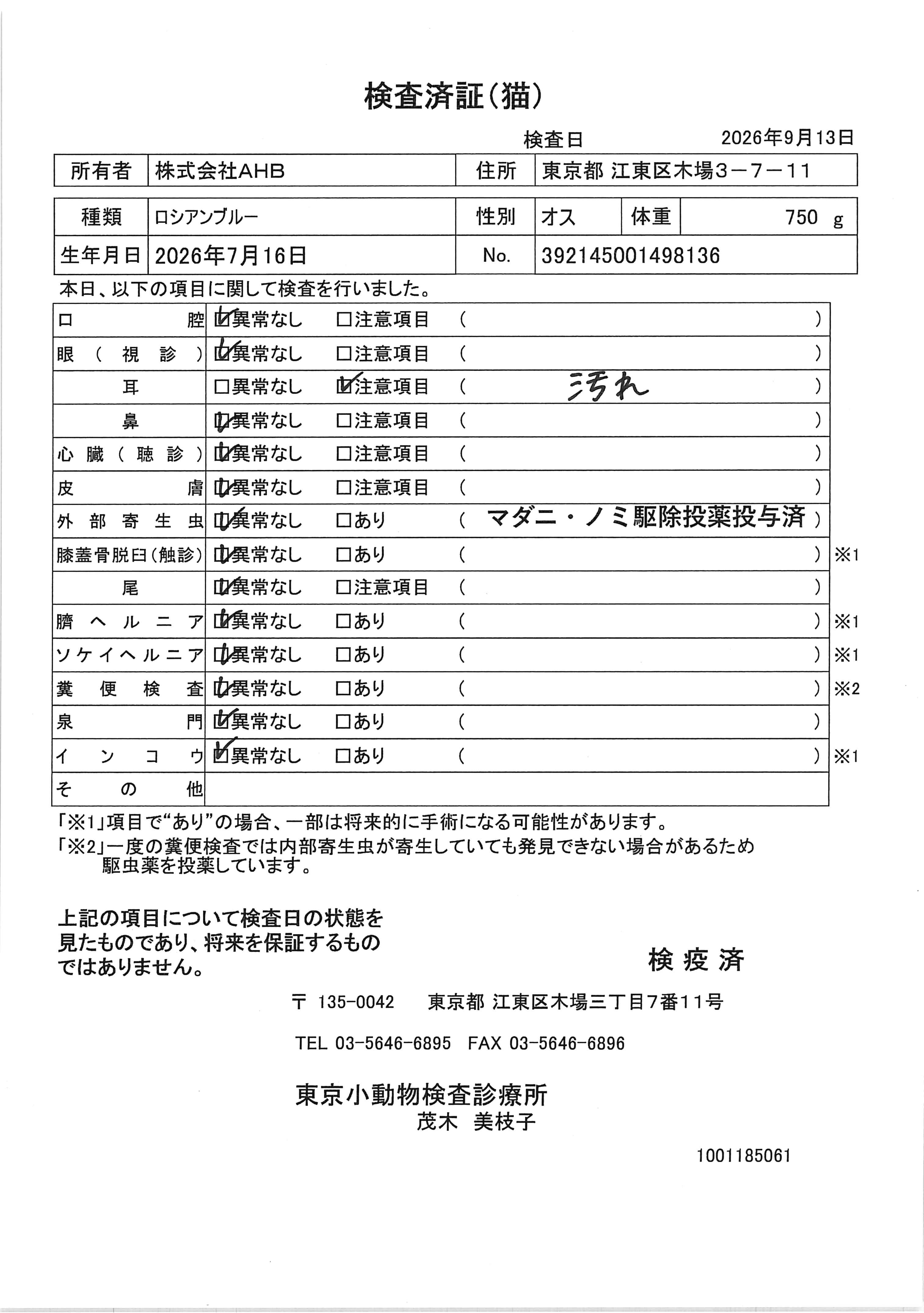 ロシアンブルー