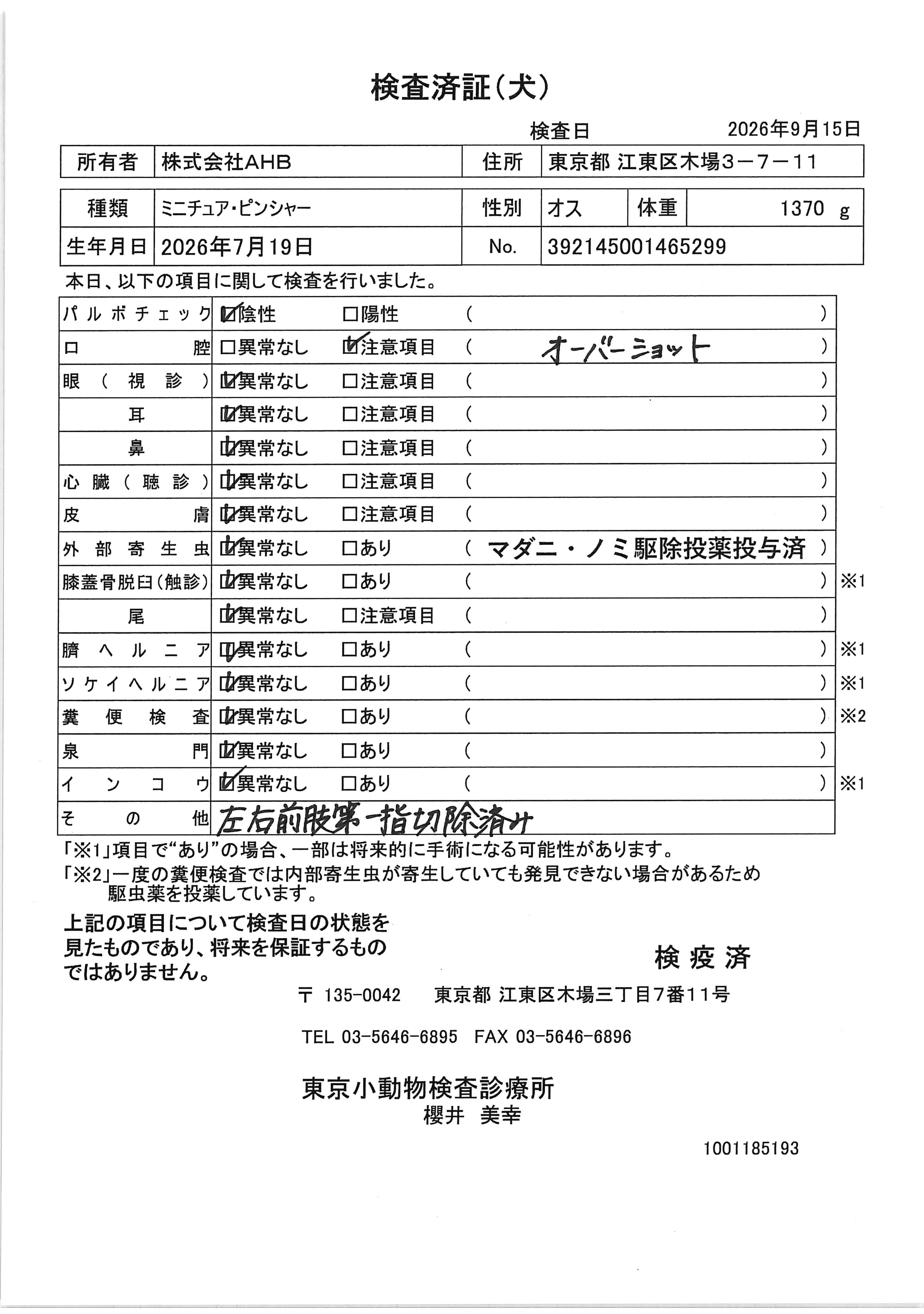 ミニチュア・ピンシャー