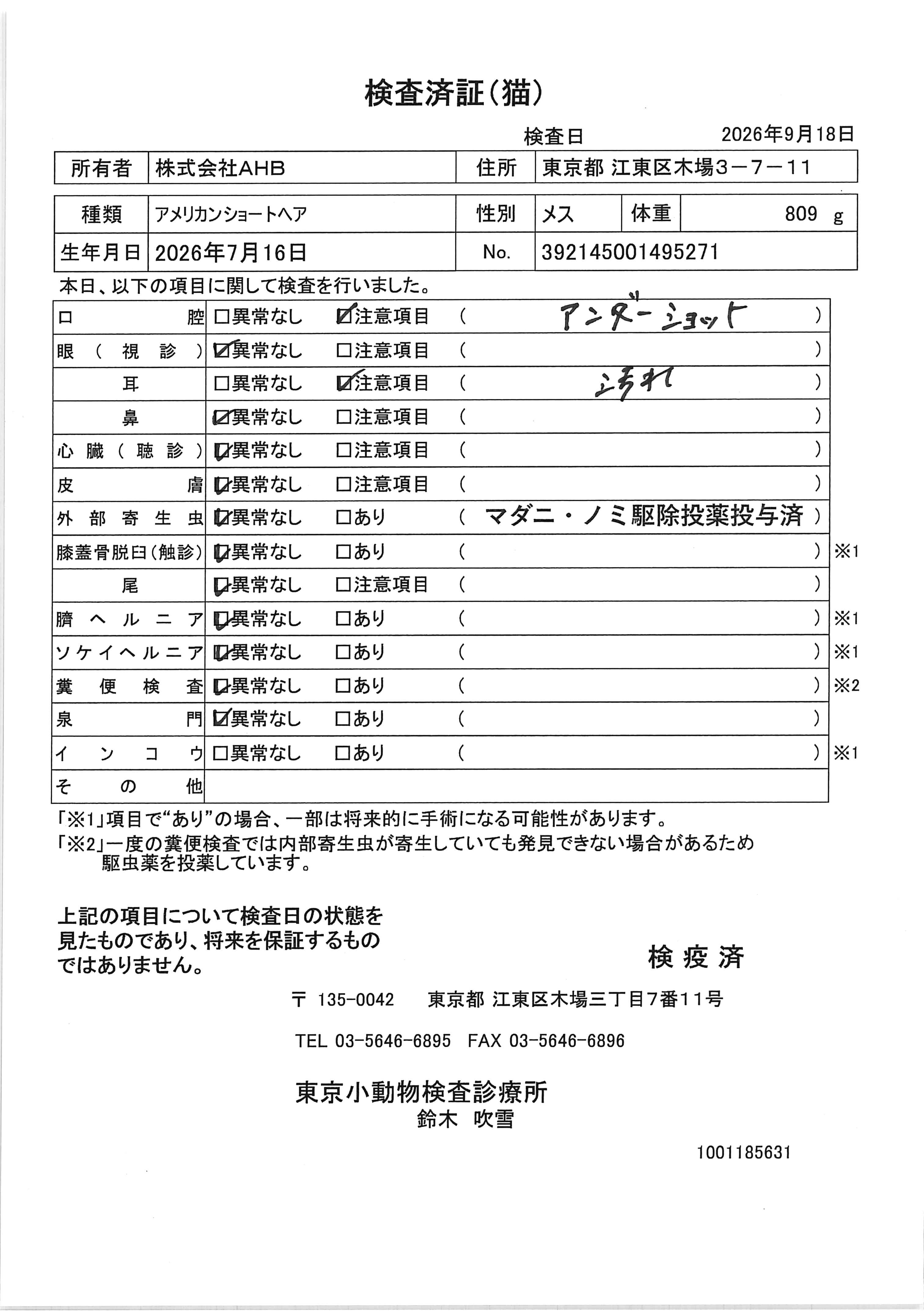 アメリカンショートヘア