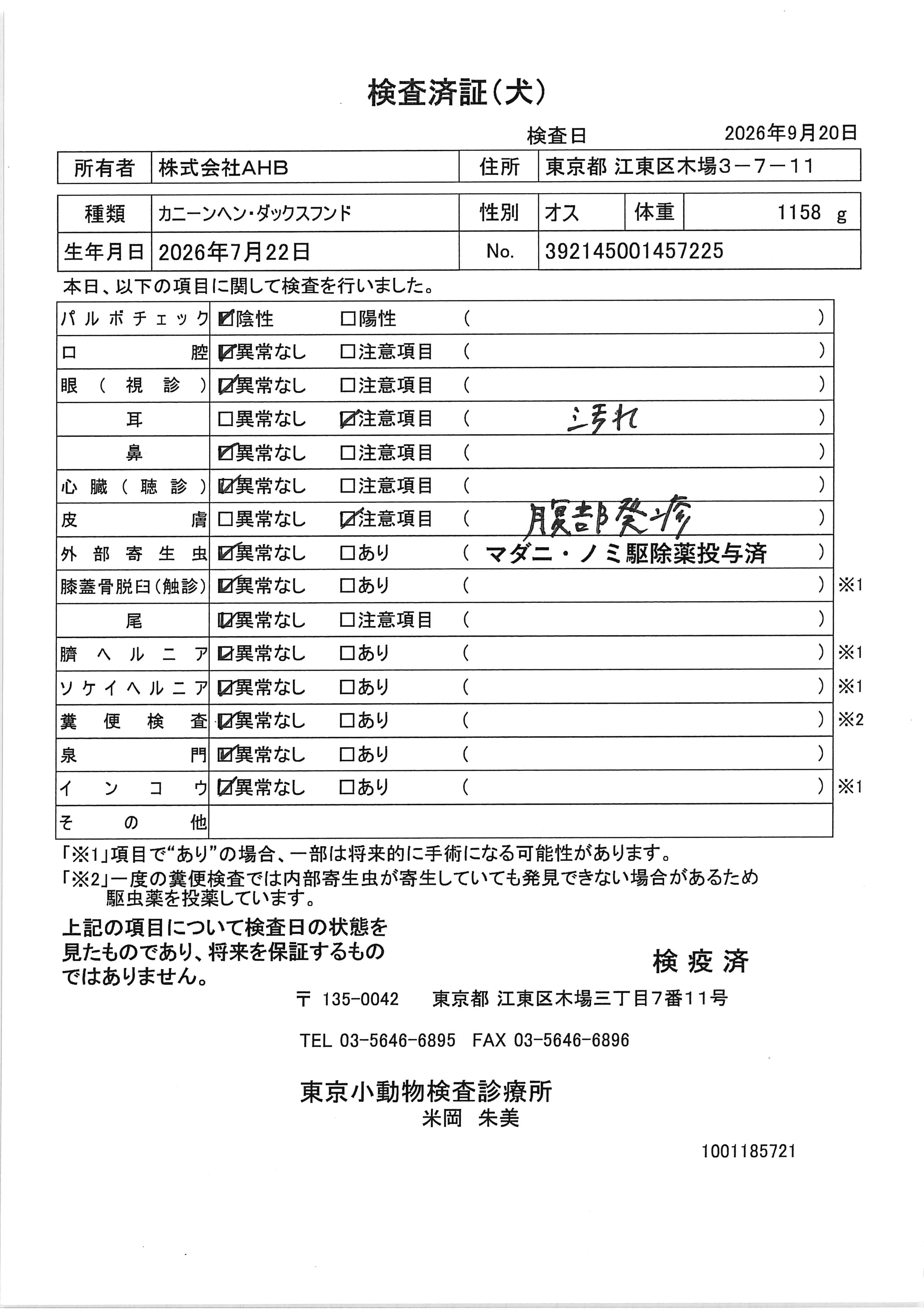 カニーンヘン・ダックスフンド
