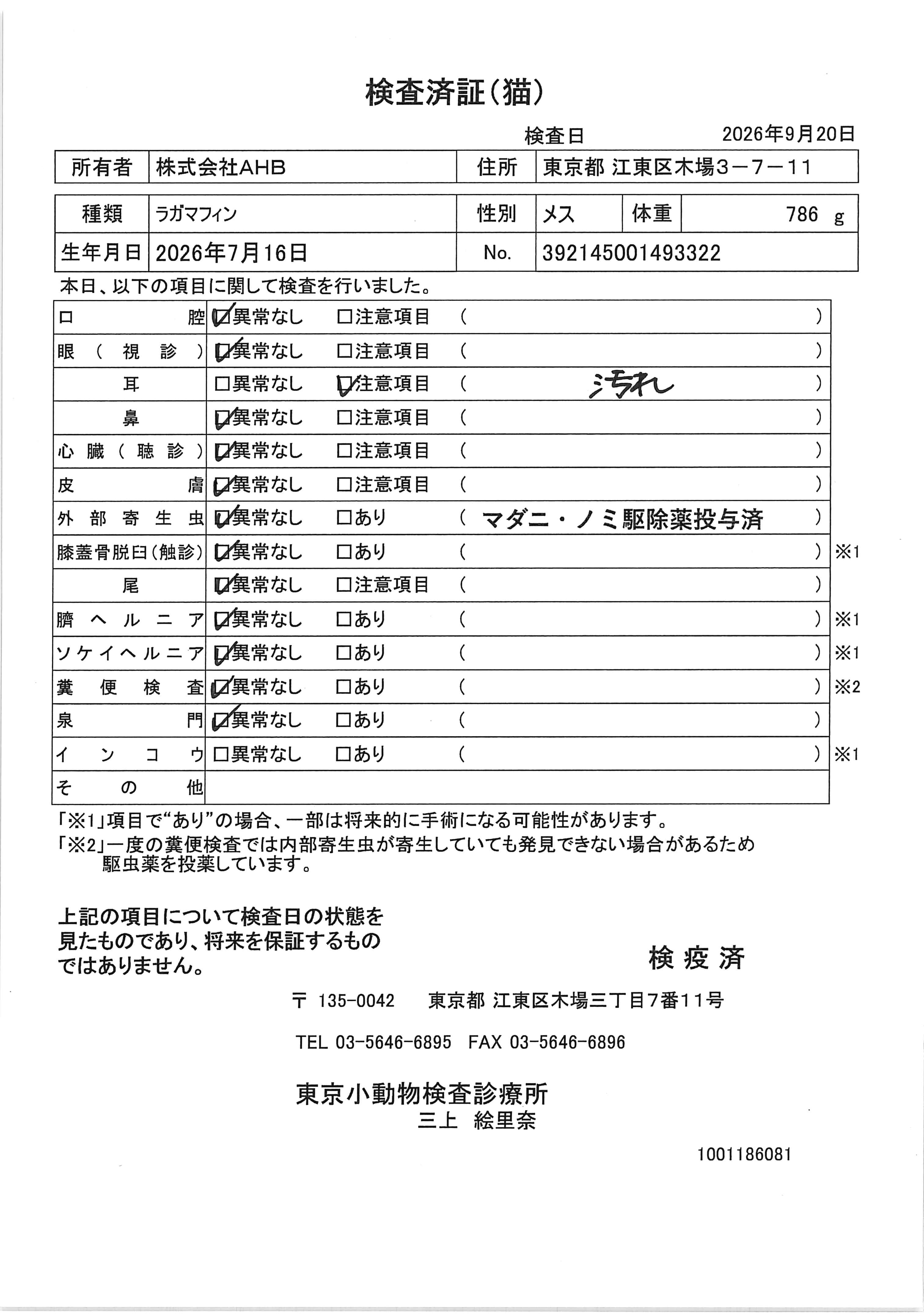 ラガマフィン