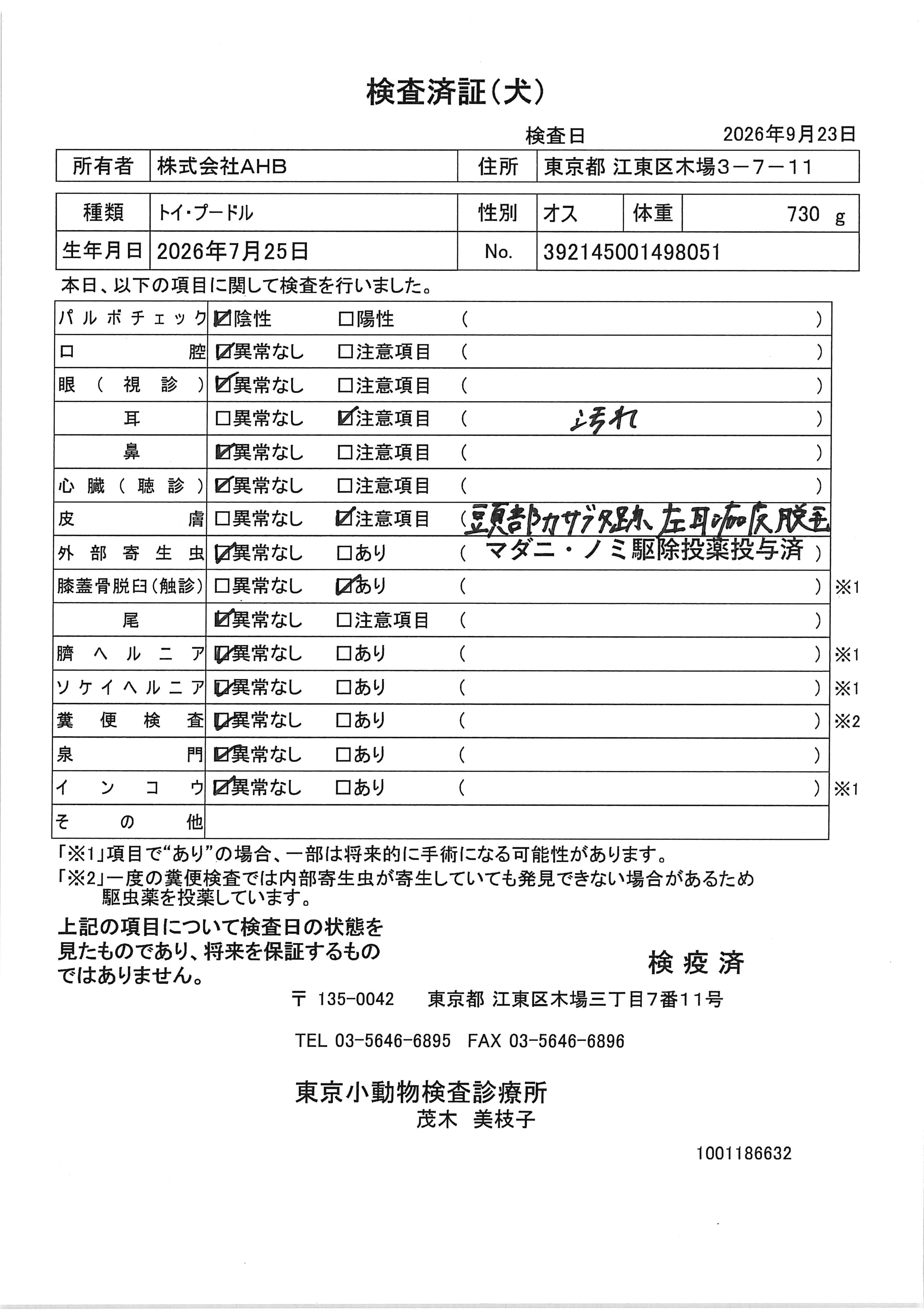 トイ・プードル