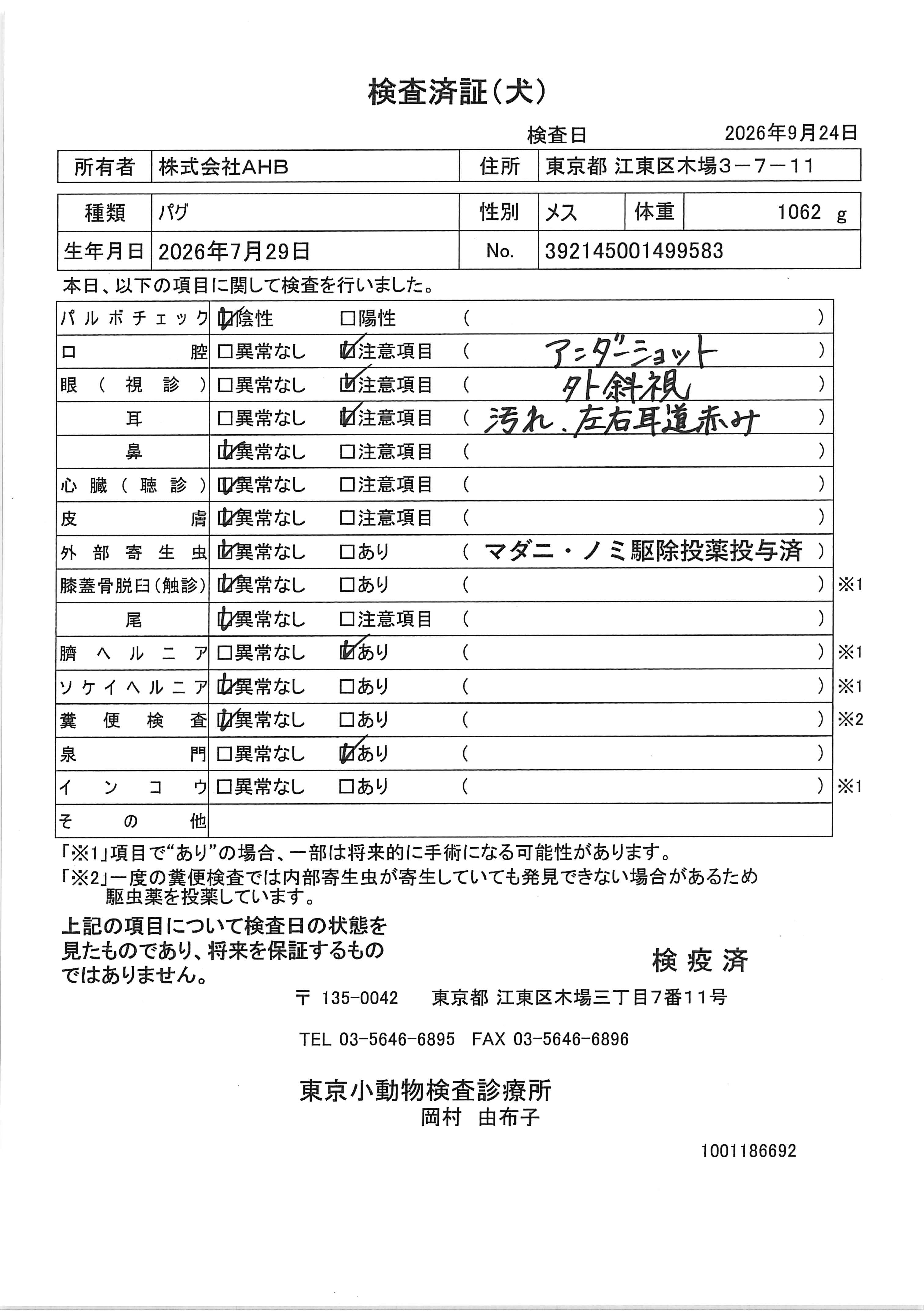 パグ