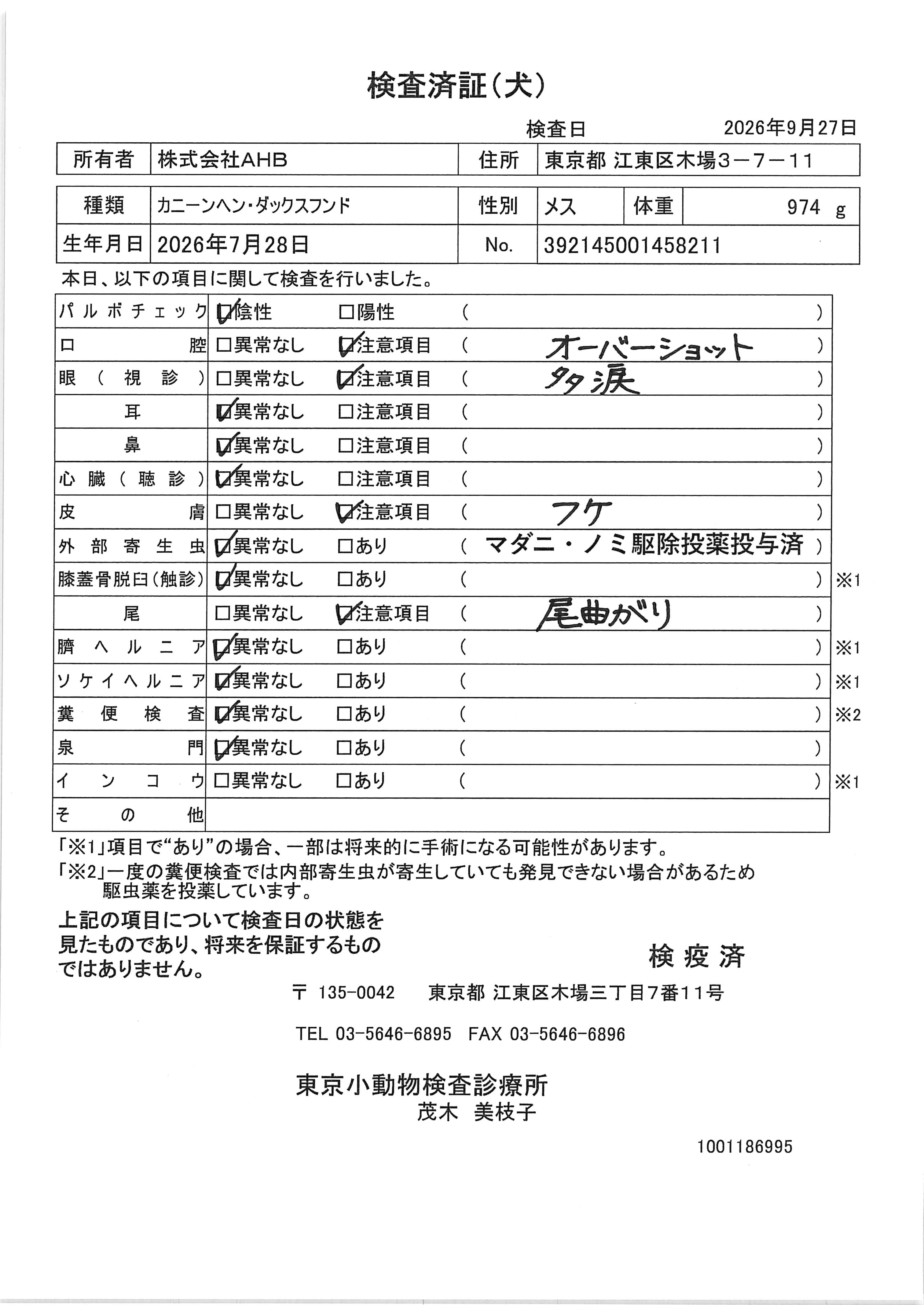 カニーンヘン・ダックスフンド