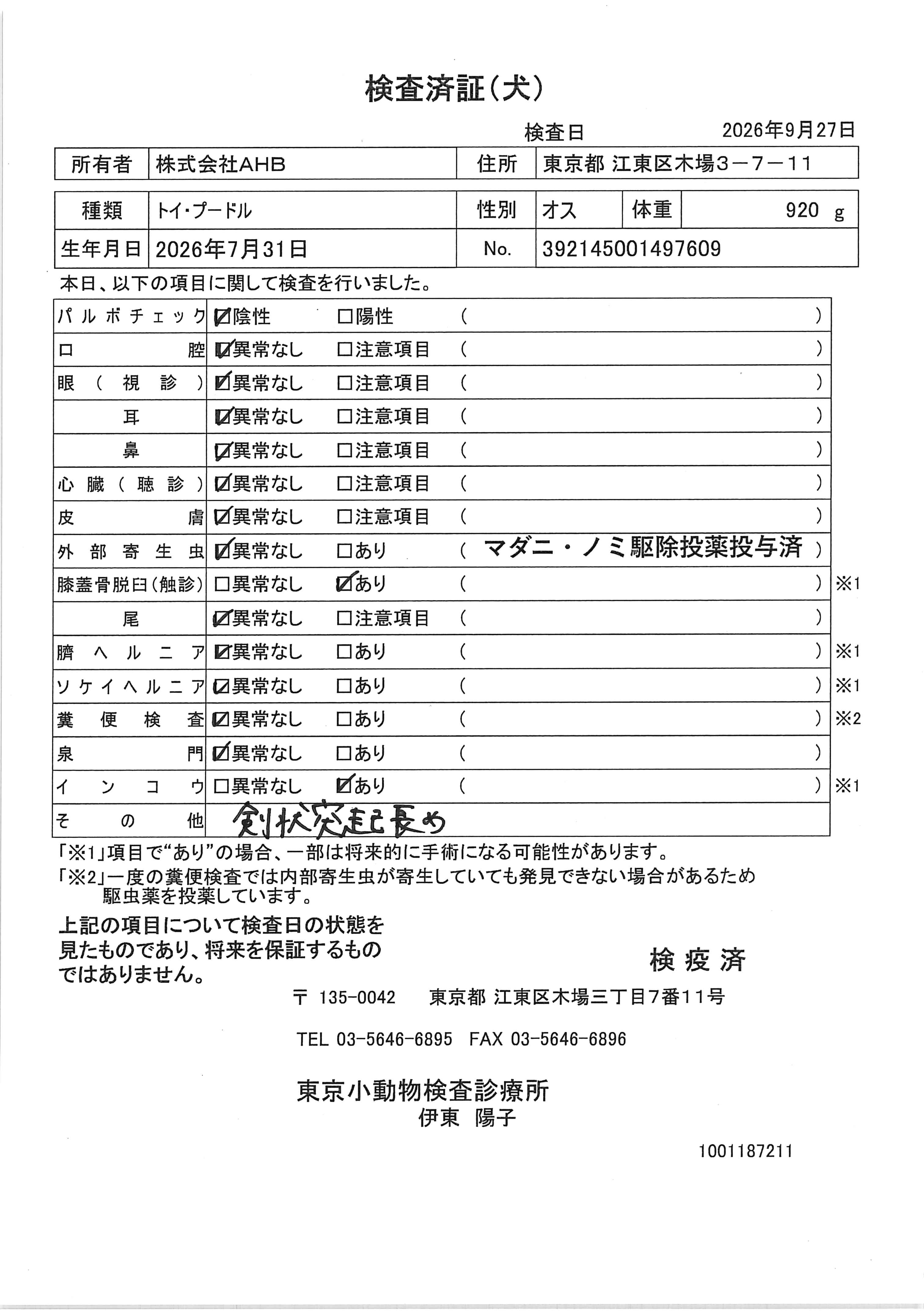 トイ・プードル