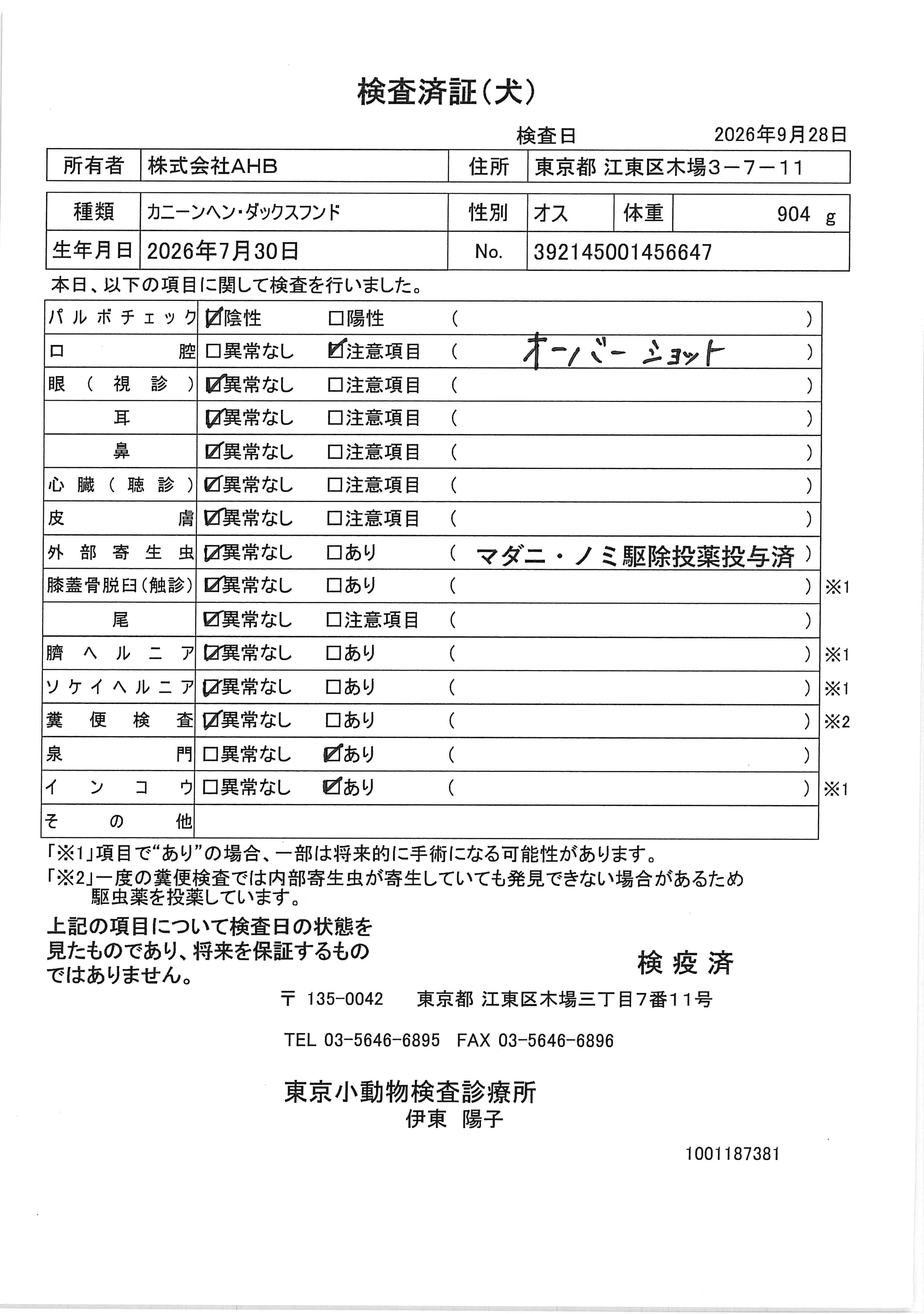 カニーンヘン・ダックスフンド